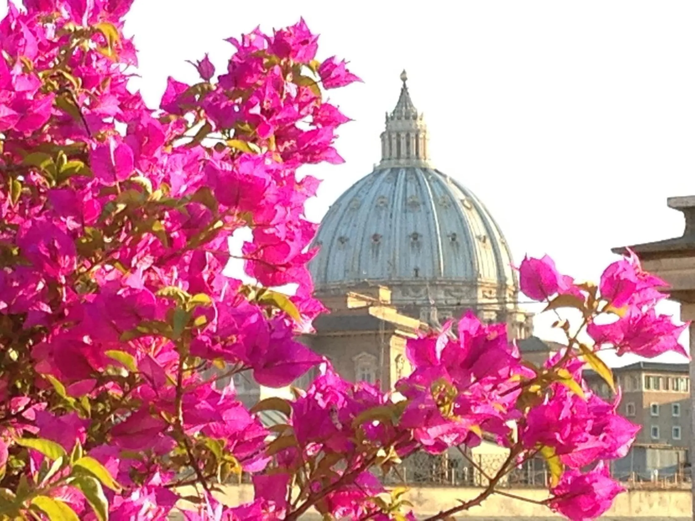 Bird's eye view in Hotel dei Consoli Vaticano
