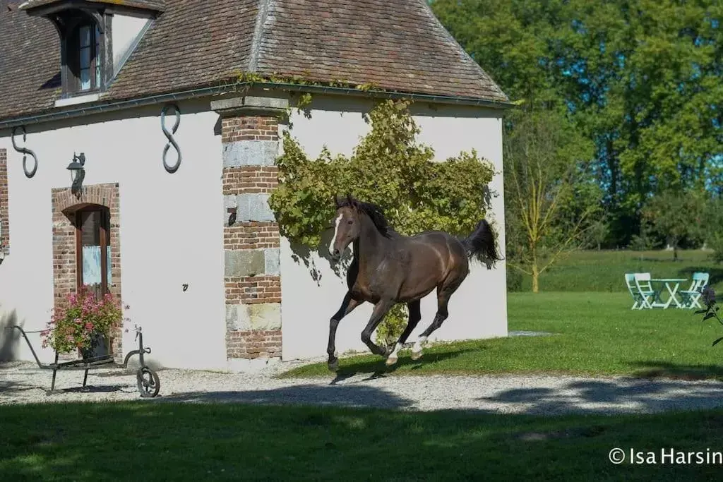 Le Domaine de Toussacq