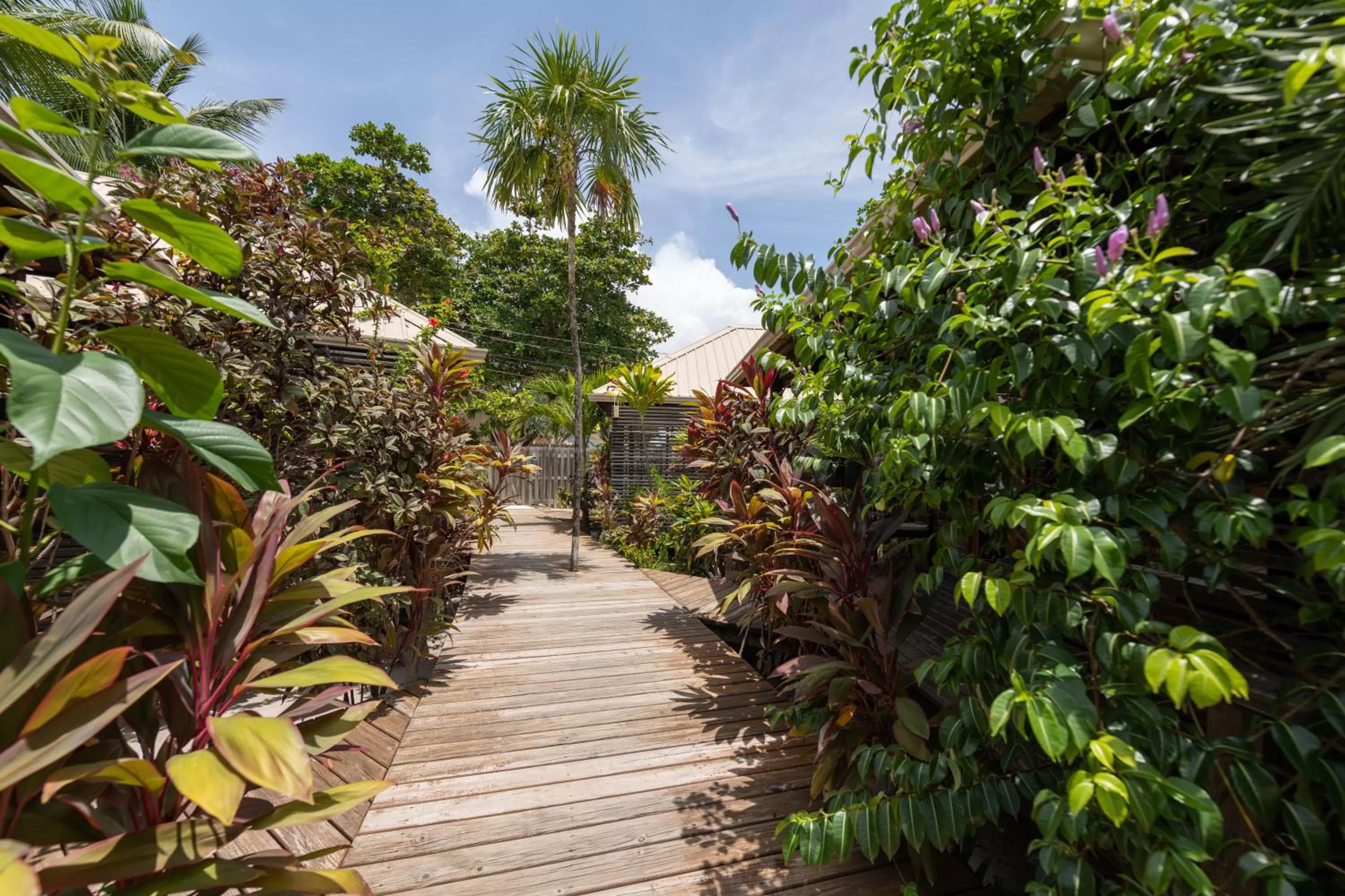 Spring in PUR Boutique Cabanas, Adults Only