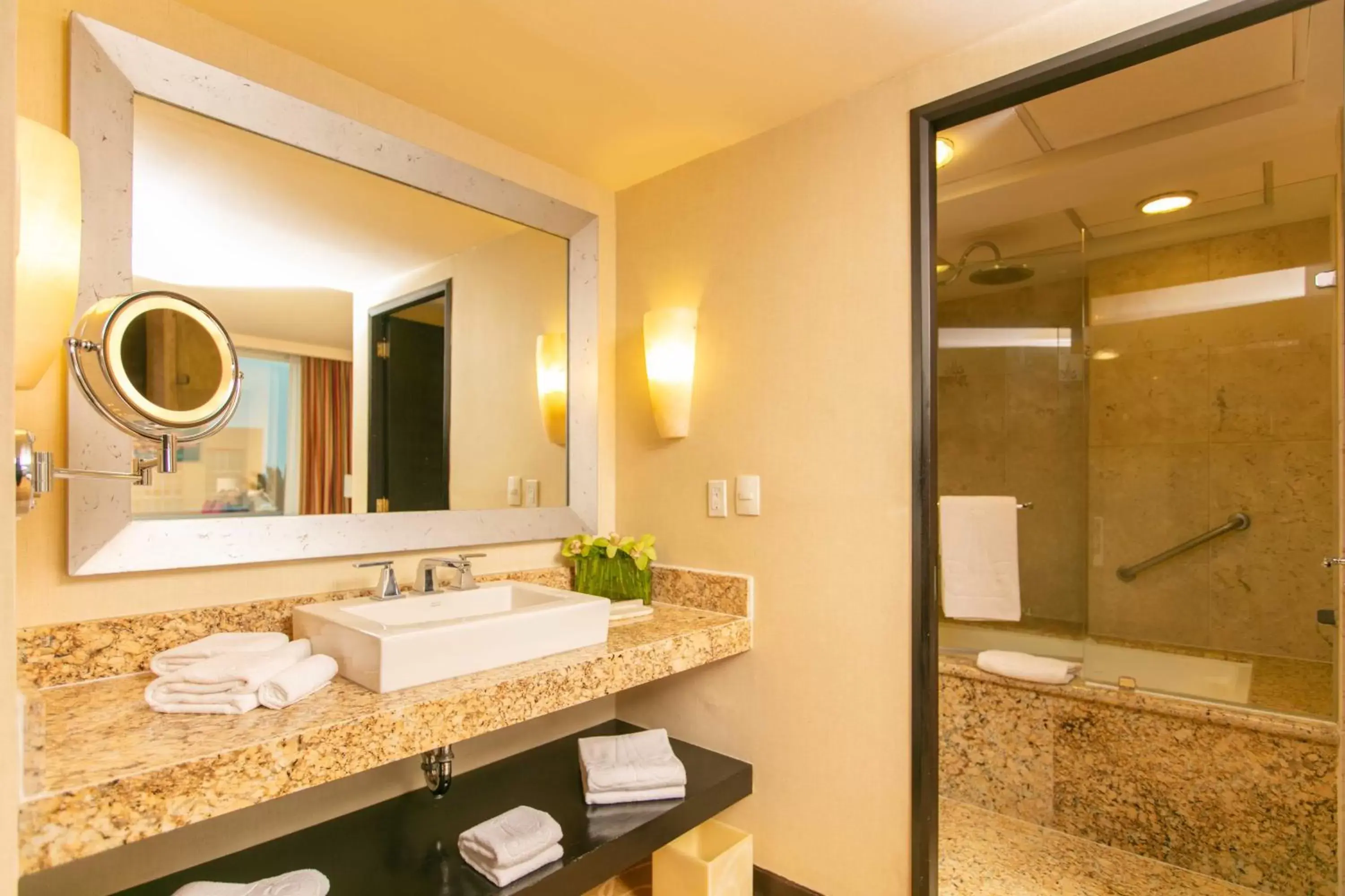 Bathroom in Hotel Marquis Reforma