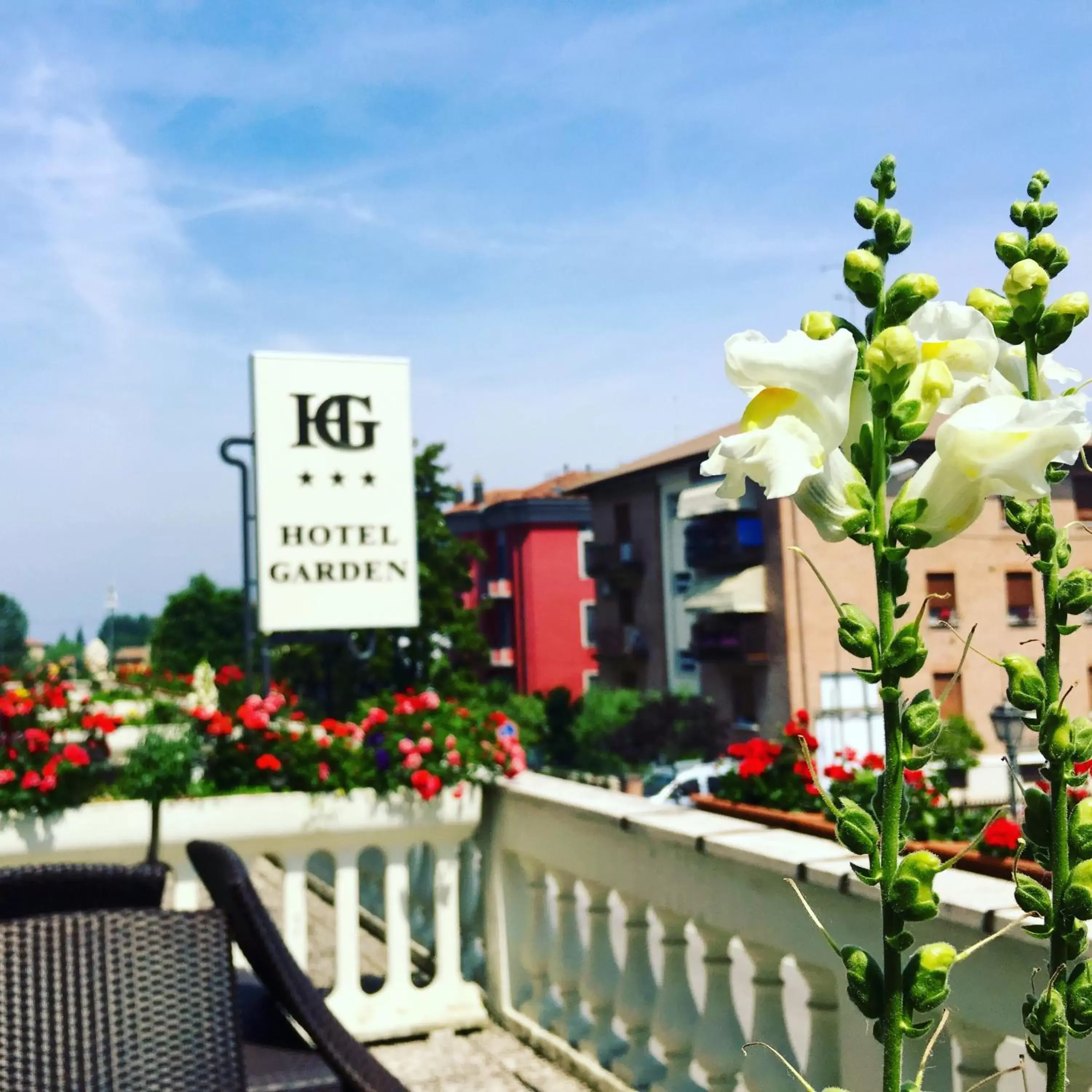 Balcony/Terrace in Hotel Garden