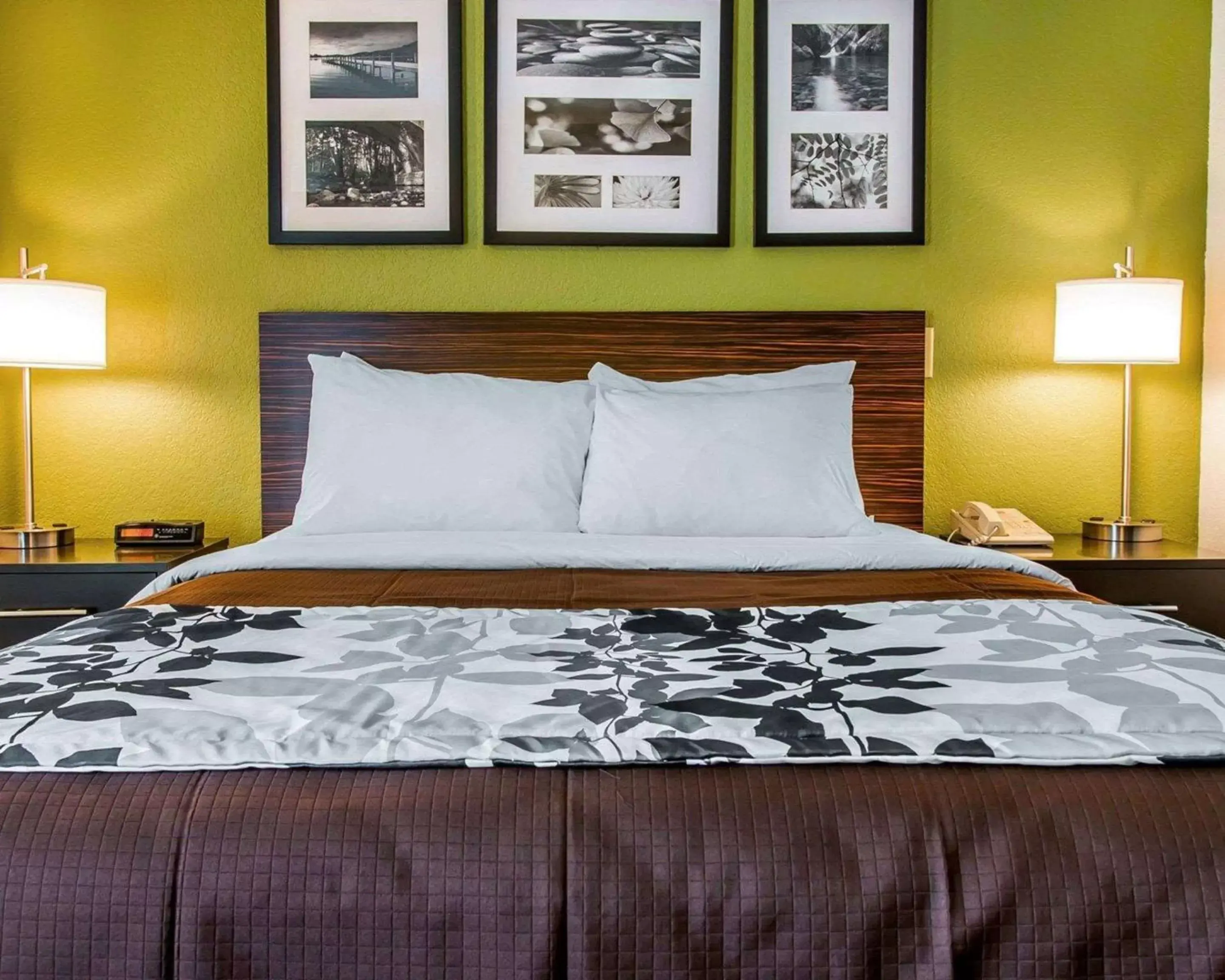 Photo of the whole room, Bed in Sleep Inn Photo of the whole room, Bed in Sleep Inn