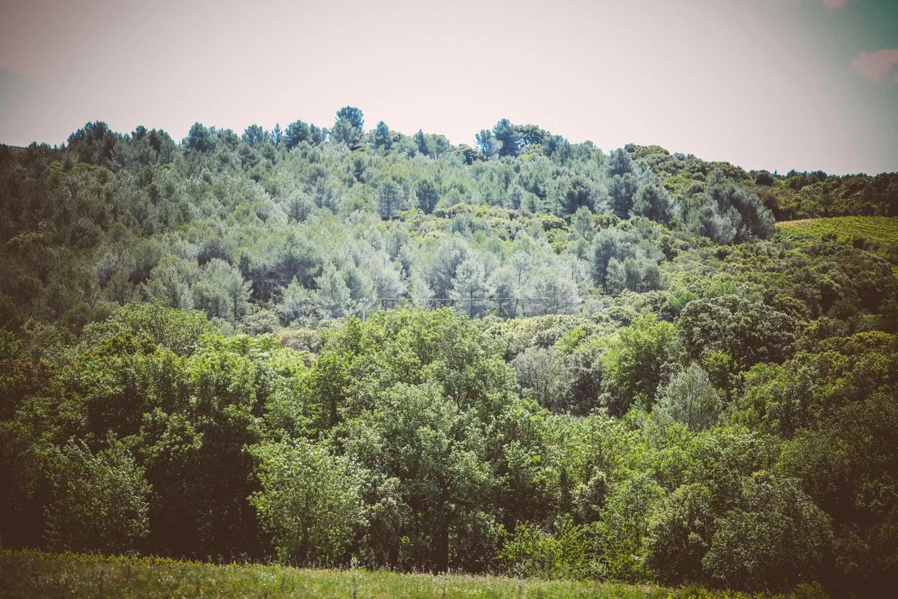 View (from property/room) in Domaine de Salente