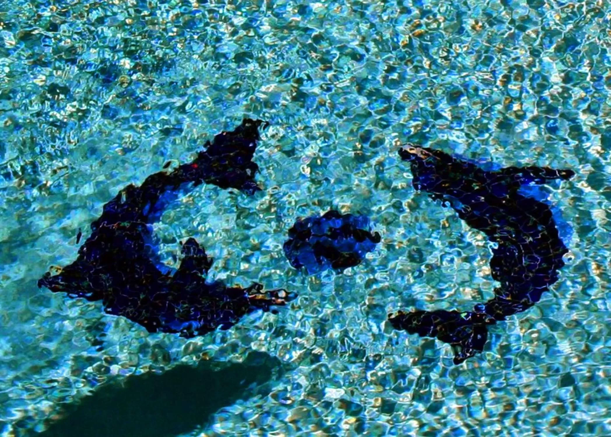 Pool view in Hampton Inn Dallas-Rockwall