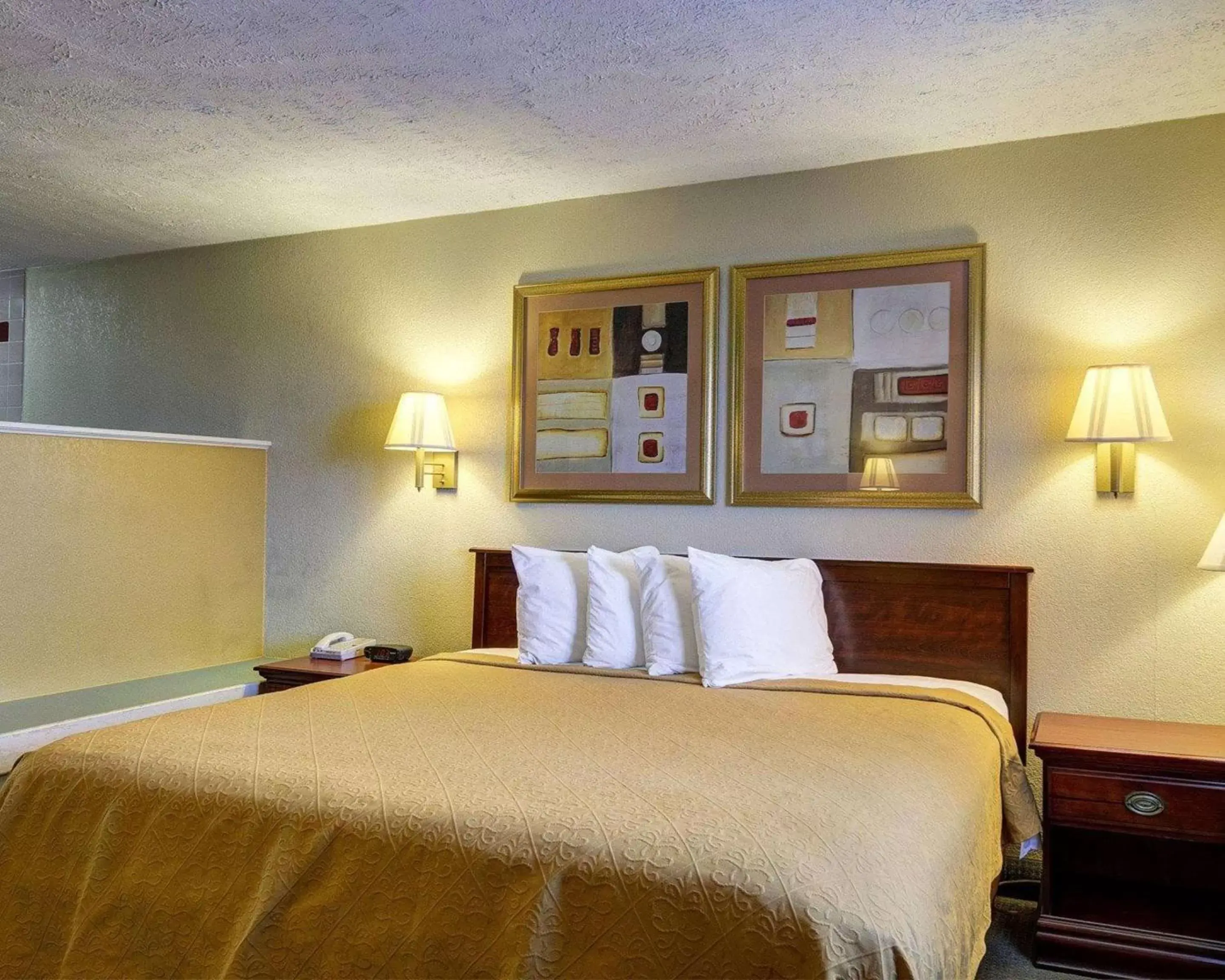 Photo of the whole room, Bed in Quality Inn Conway - Greenbrier