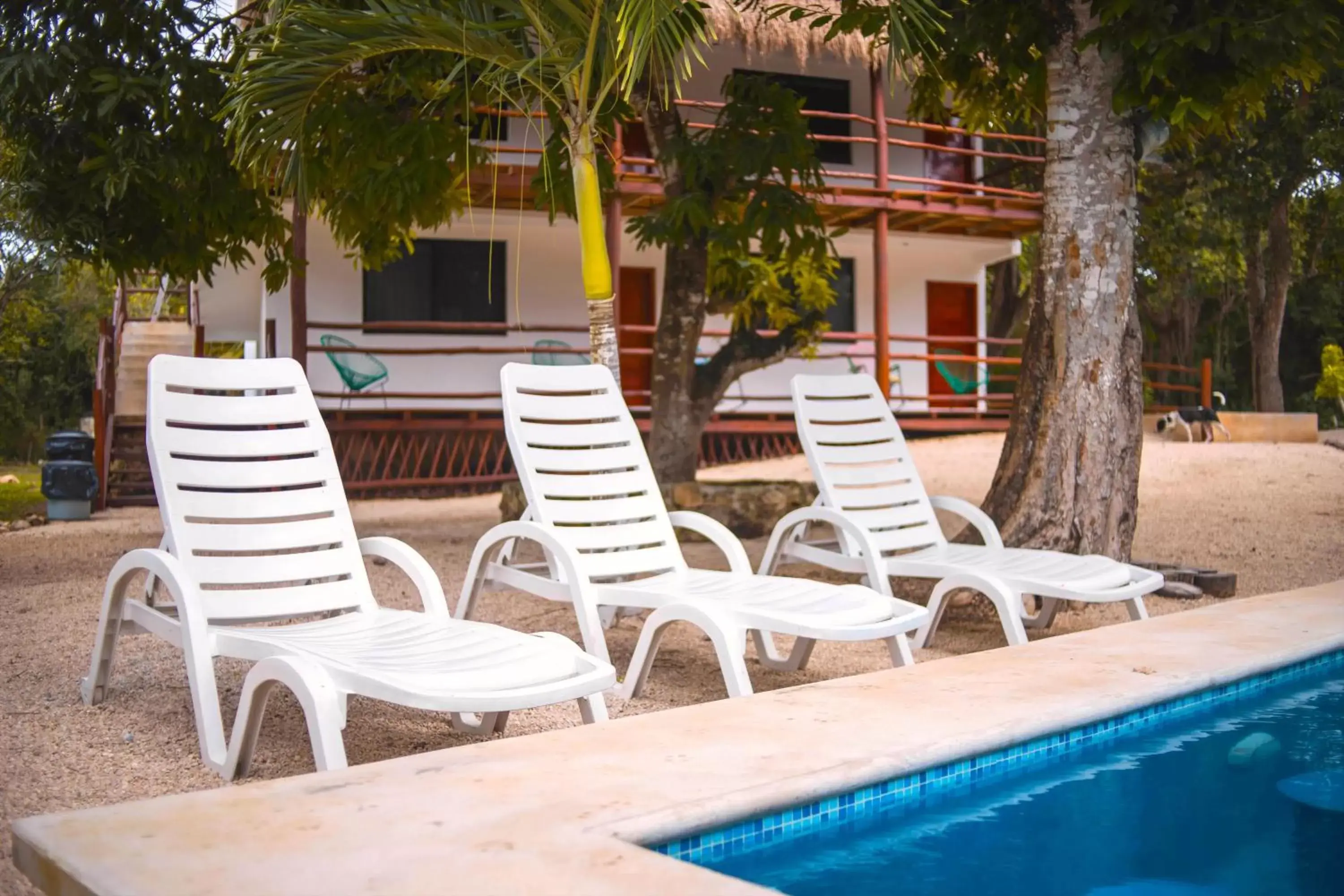 Patio, Swimming Pool in Royal Palm Bacalar Cabañas & Lagoon Club
