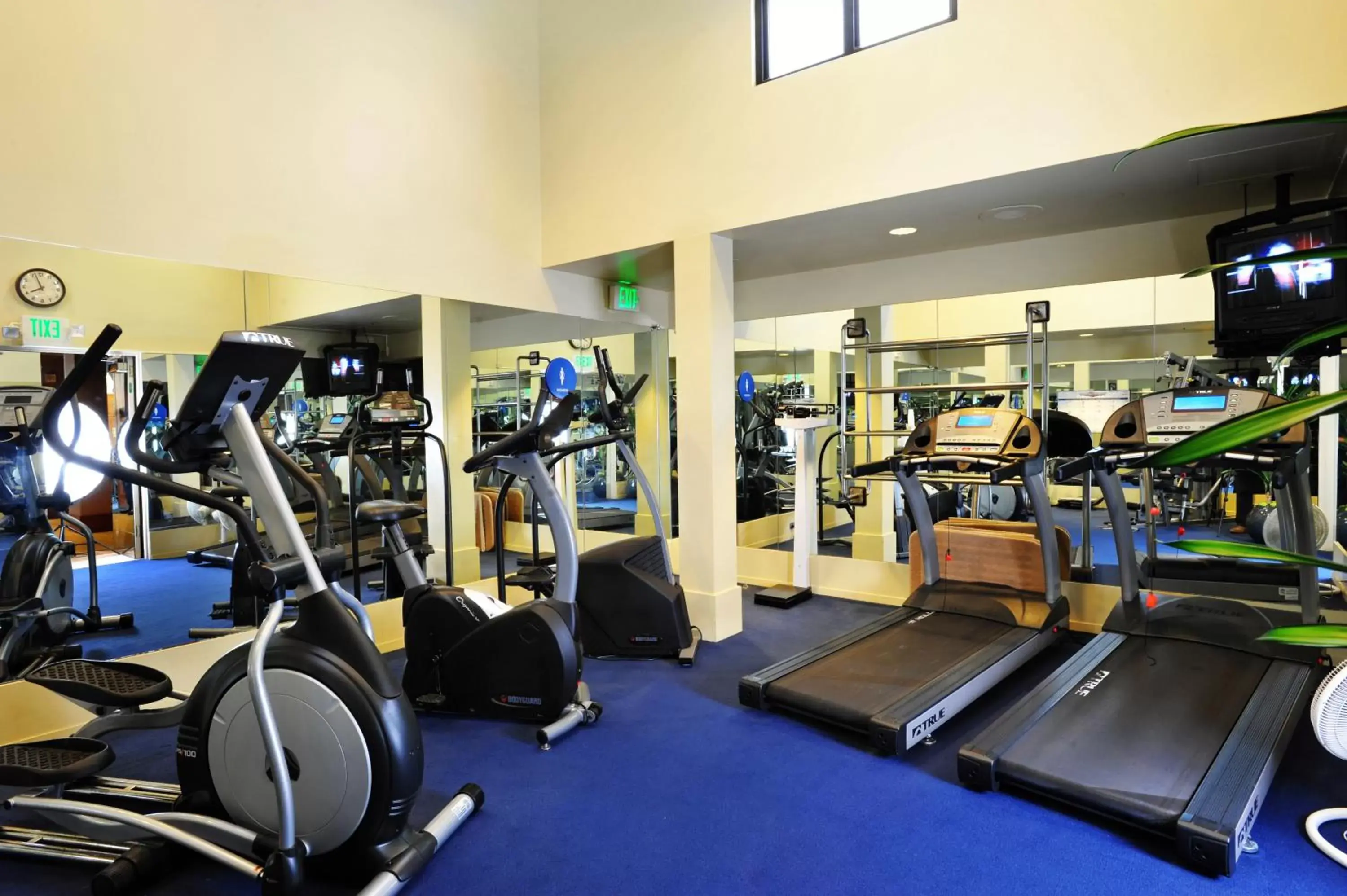 Fitness centre/facilities, Fitness Center/Facilities in Club Donatello