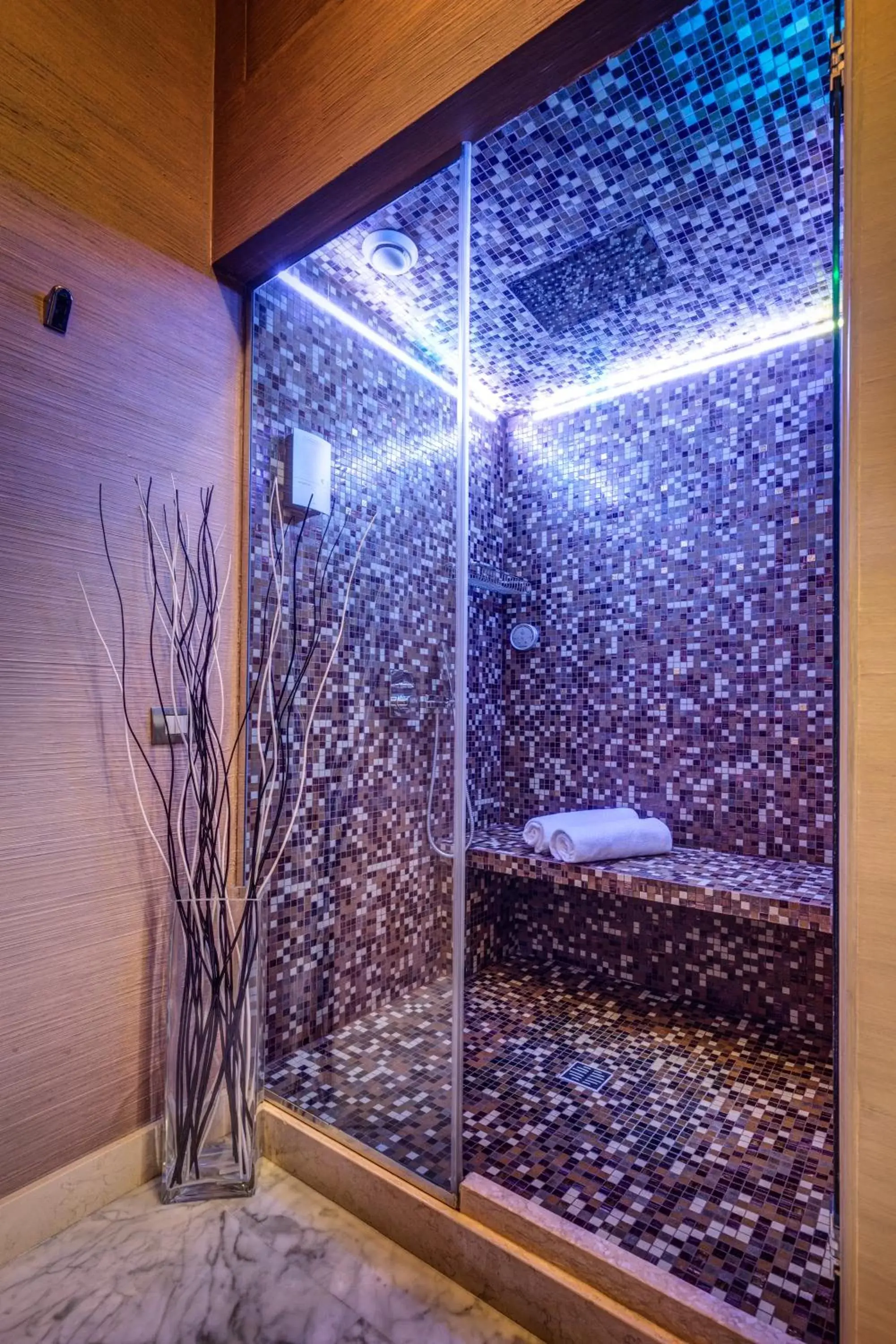 Shower in Dharma Luxury Hotel