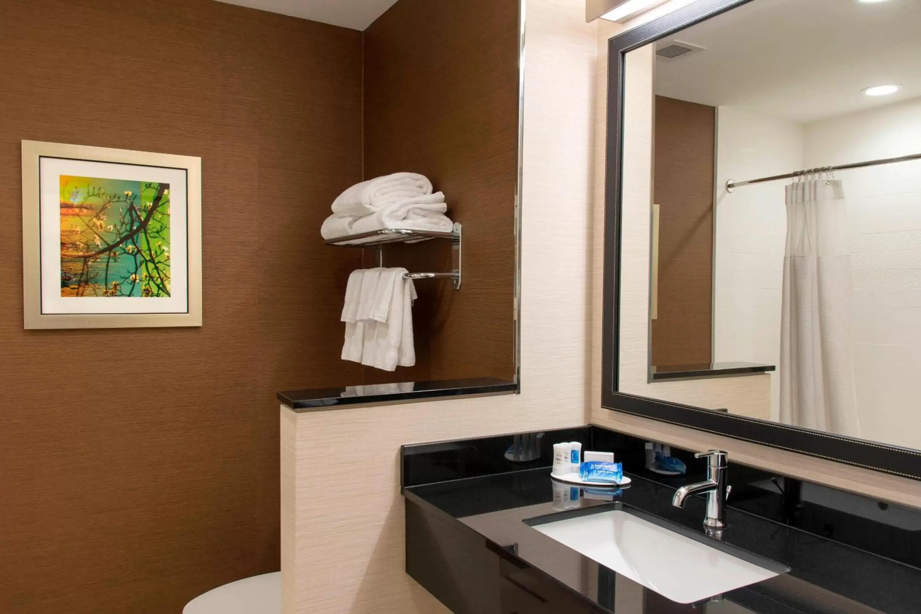 Bathroom in Fairfield Inn & Suites by Marriott Jackson Clinton