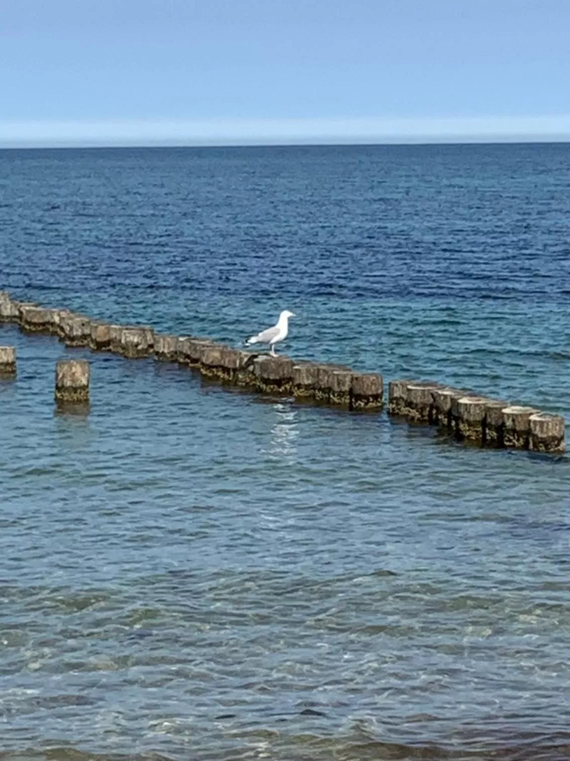 Sea view in Mare Balticum Urlaub auf Rügen