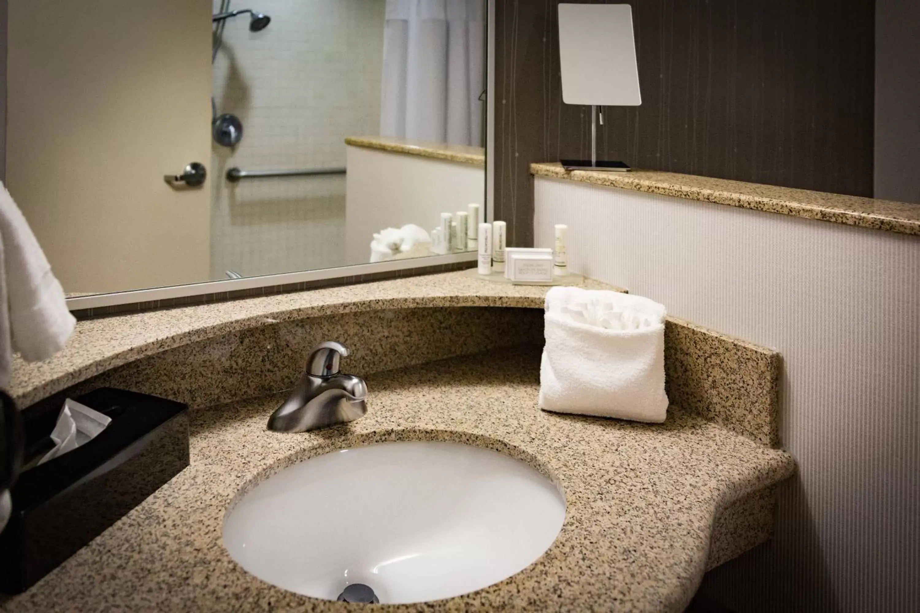 Bathroom in Courtyard by Marriott Norman