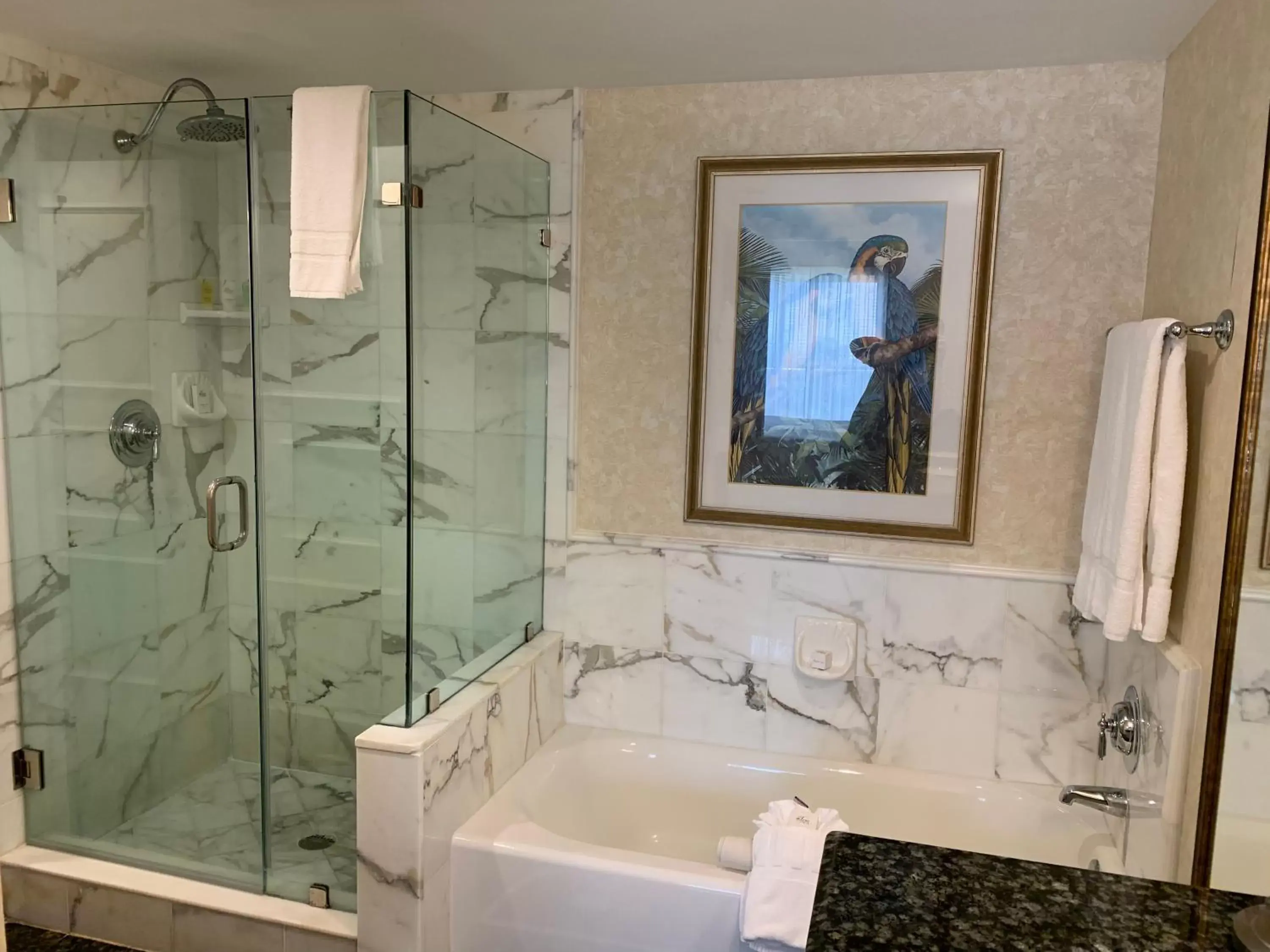Shower, Bathroom in The Lago Mar Beach Resort and Club