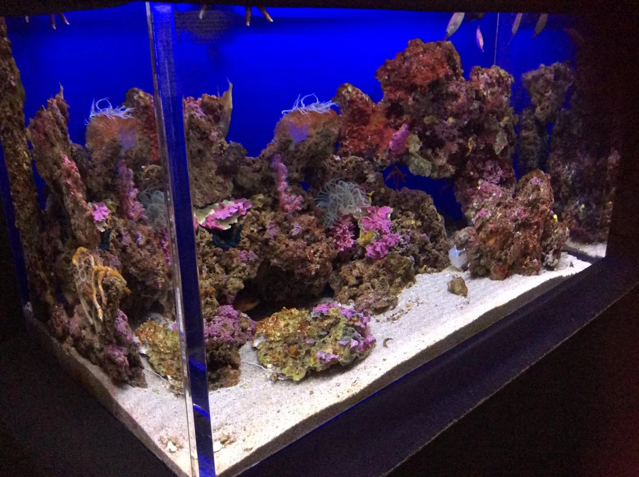 Nearby landmark in B&B Luce Viola