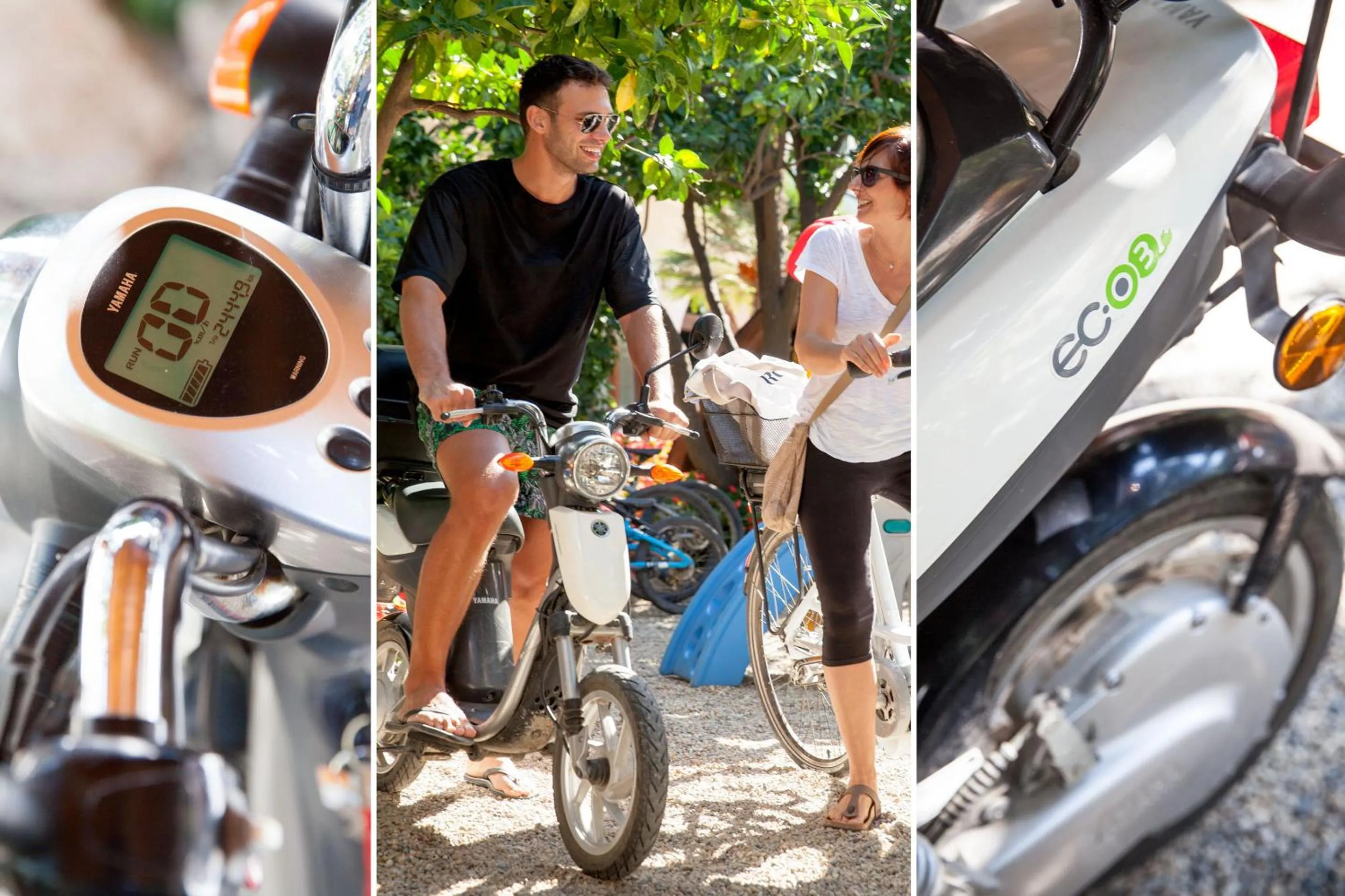 Garden in Hotel Gabriella