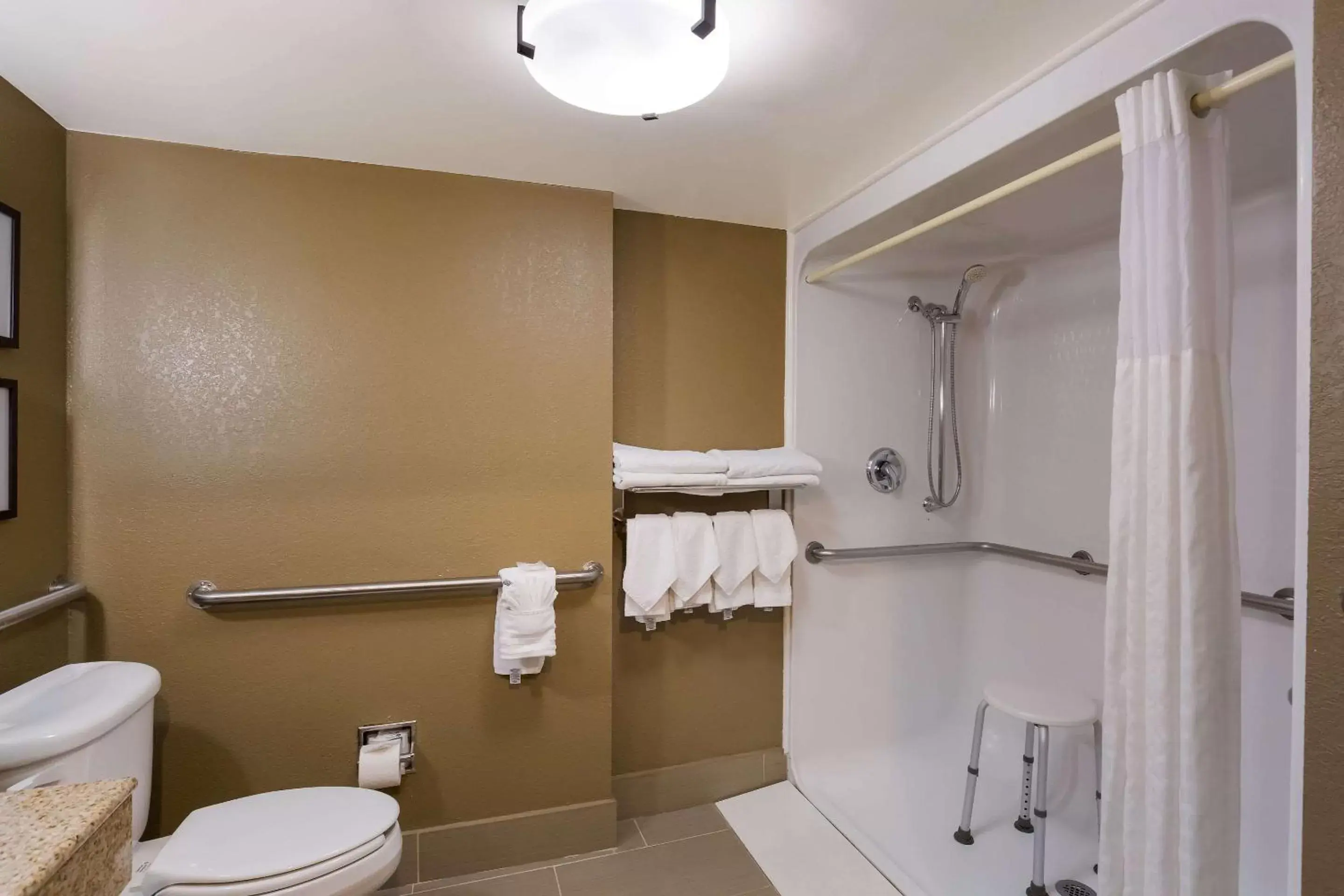 Bedroom, Bathroom in Comfort Suites Near University