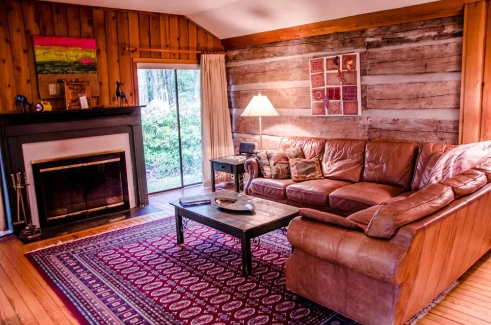 Living room in Asheville Cabins of Willow Winds