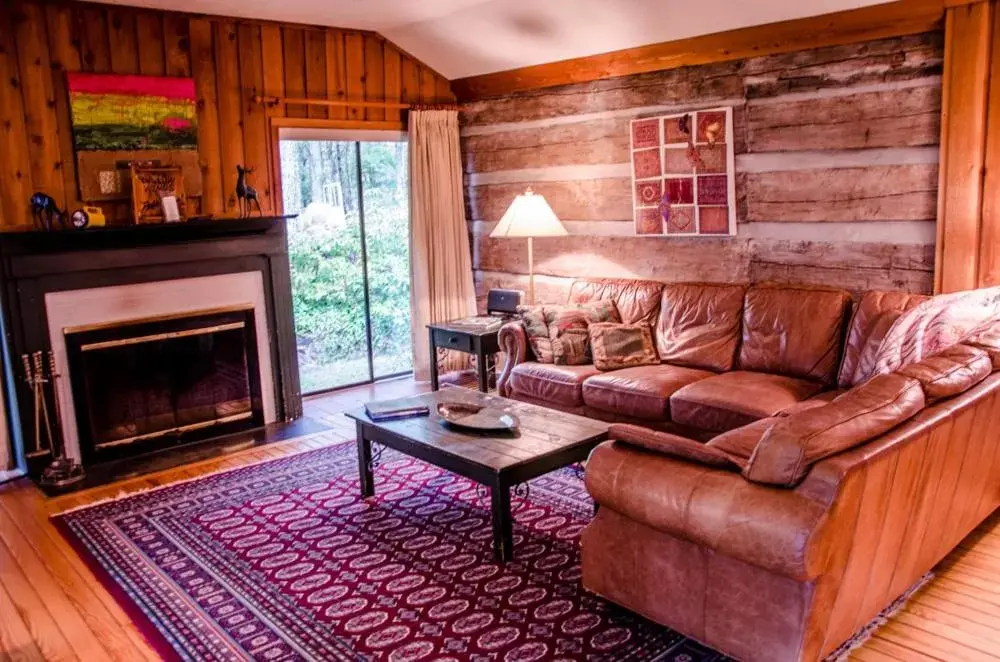Living room, Seating Area in Asheville Cabins of Willow Winds