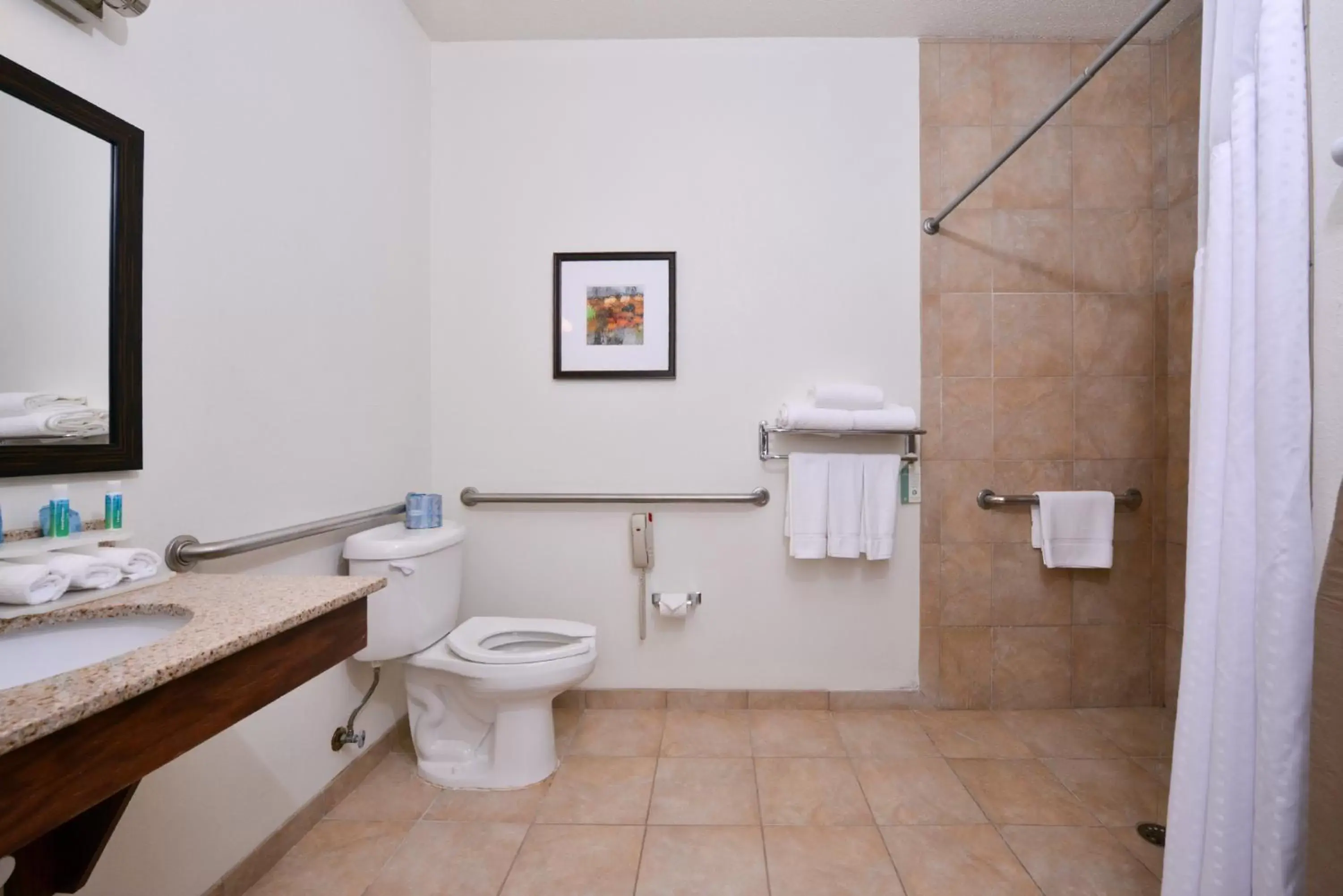 Photo of the whole room, Bathroom in Holiday Inn Express Hotel & Suites Lancaster-Lititz, an IHG Hotel