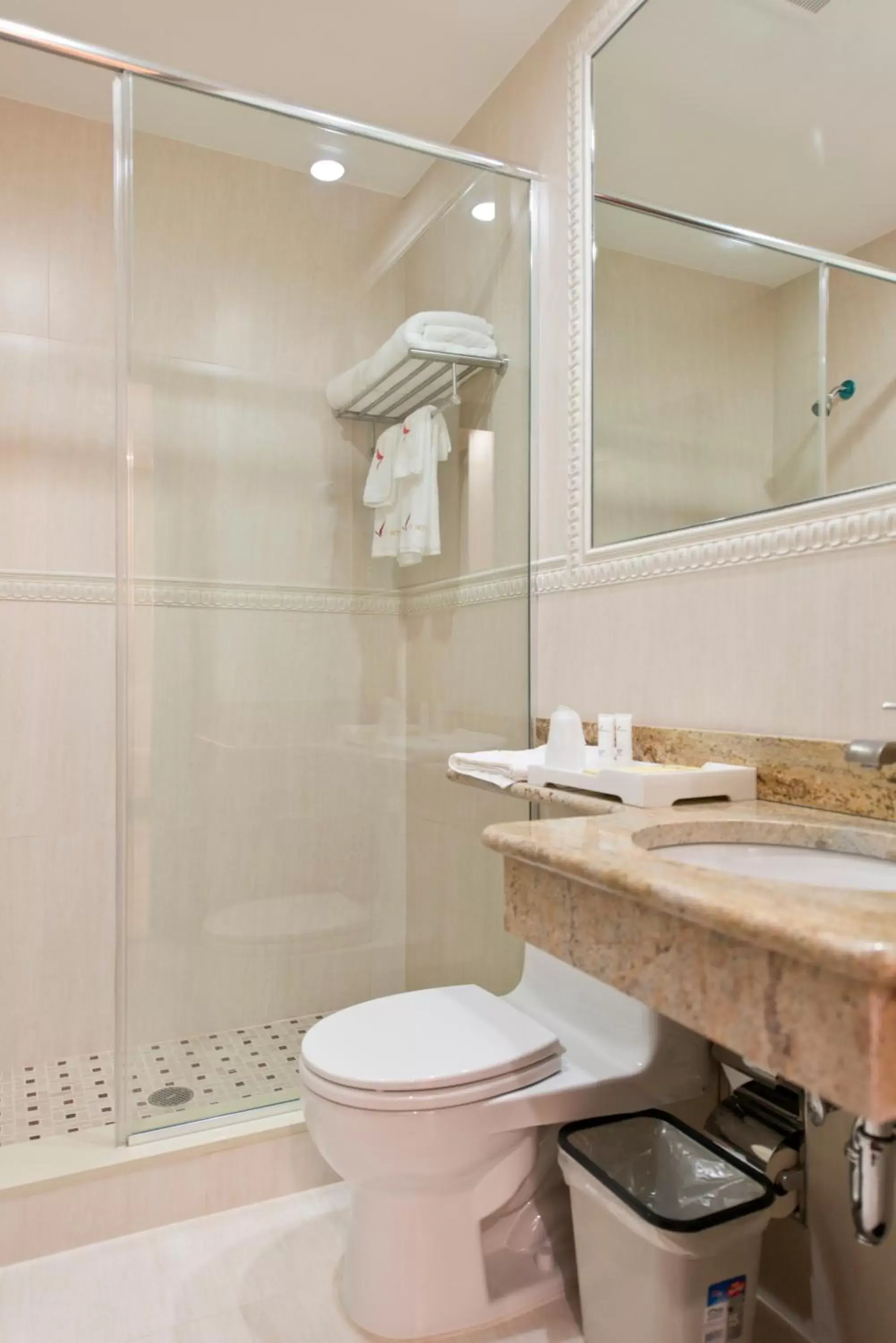 Shower, Bathroom in Asiatic Hotel - Flushing