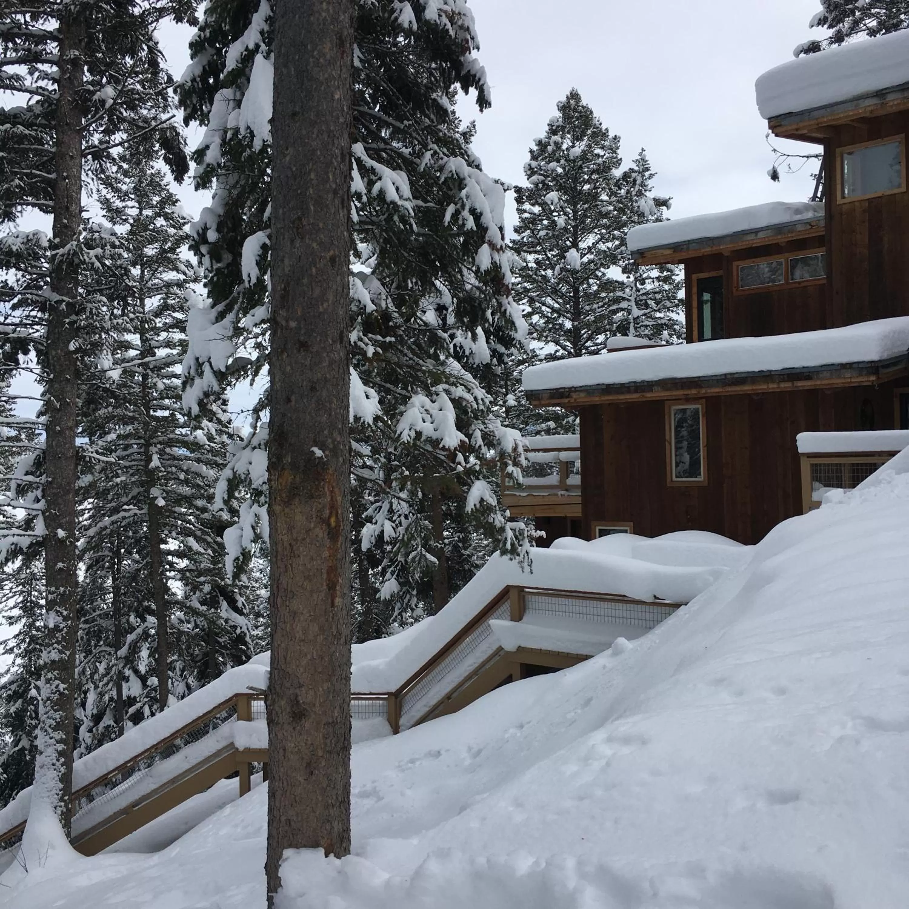 Property building, Winter in Jackson Hole Hideout