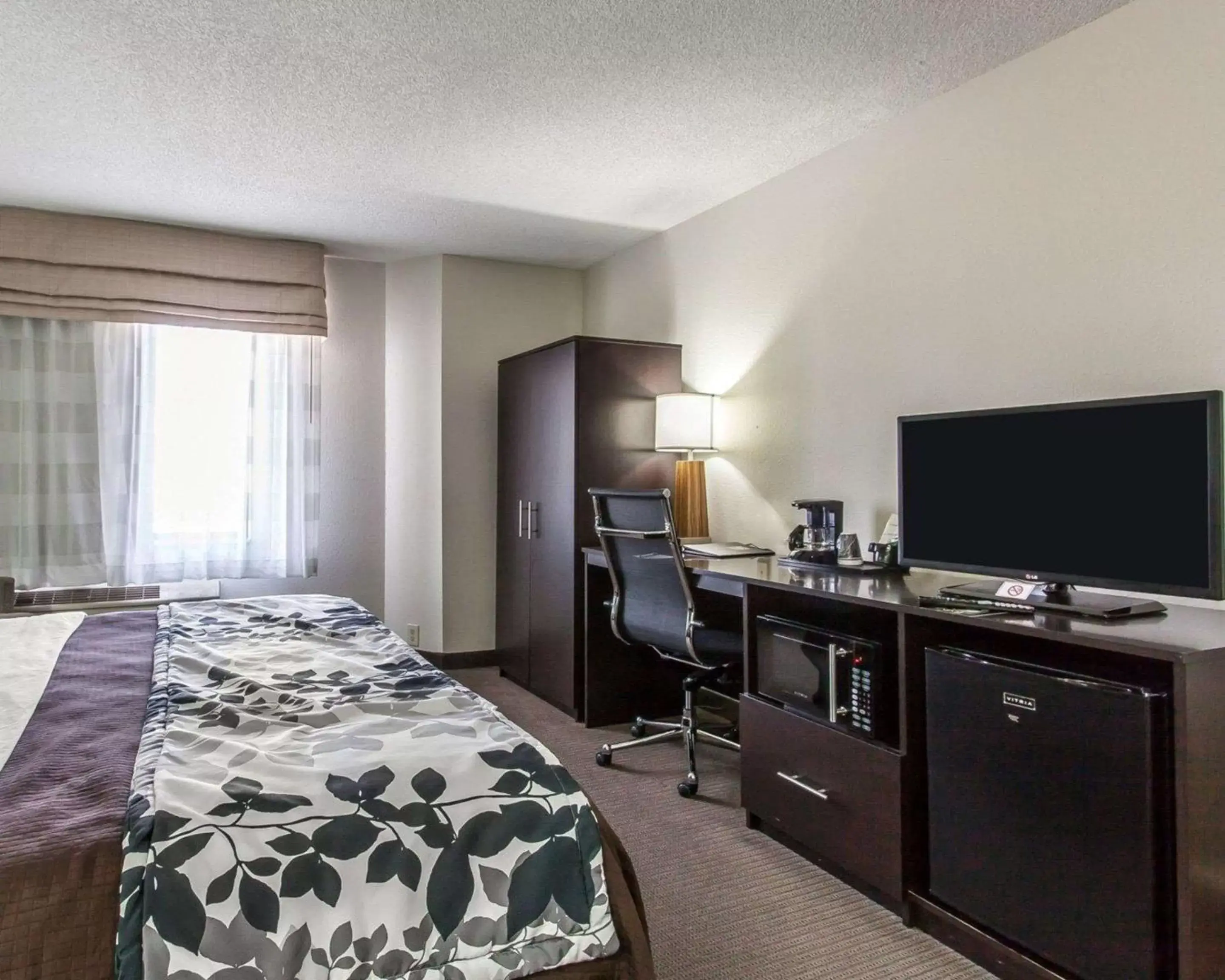 King Room - Non-Smoking in Sleep Inn & Suites Near I-90 and Ashtabula King Room - Non-Smoking in Sleep Inn & Suites Near I-90 and Ashtabula