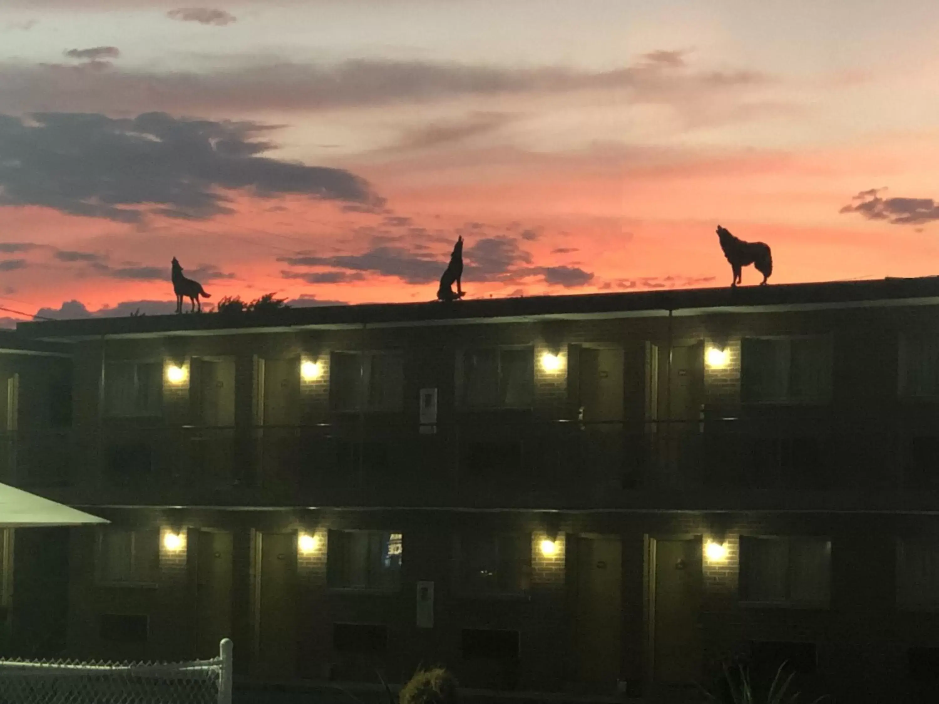 Sunrise/Sunset in Wolf Inn Hotel