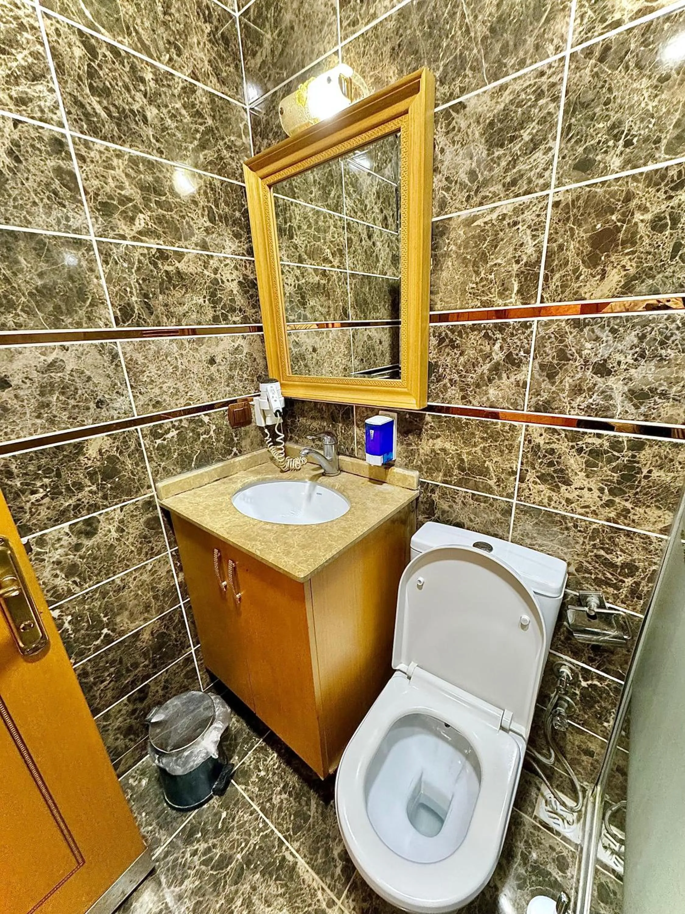 Toilet in Grand Papirus Hotel