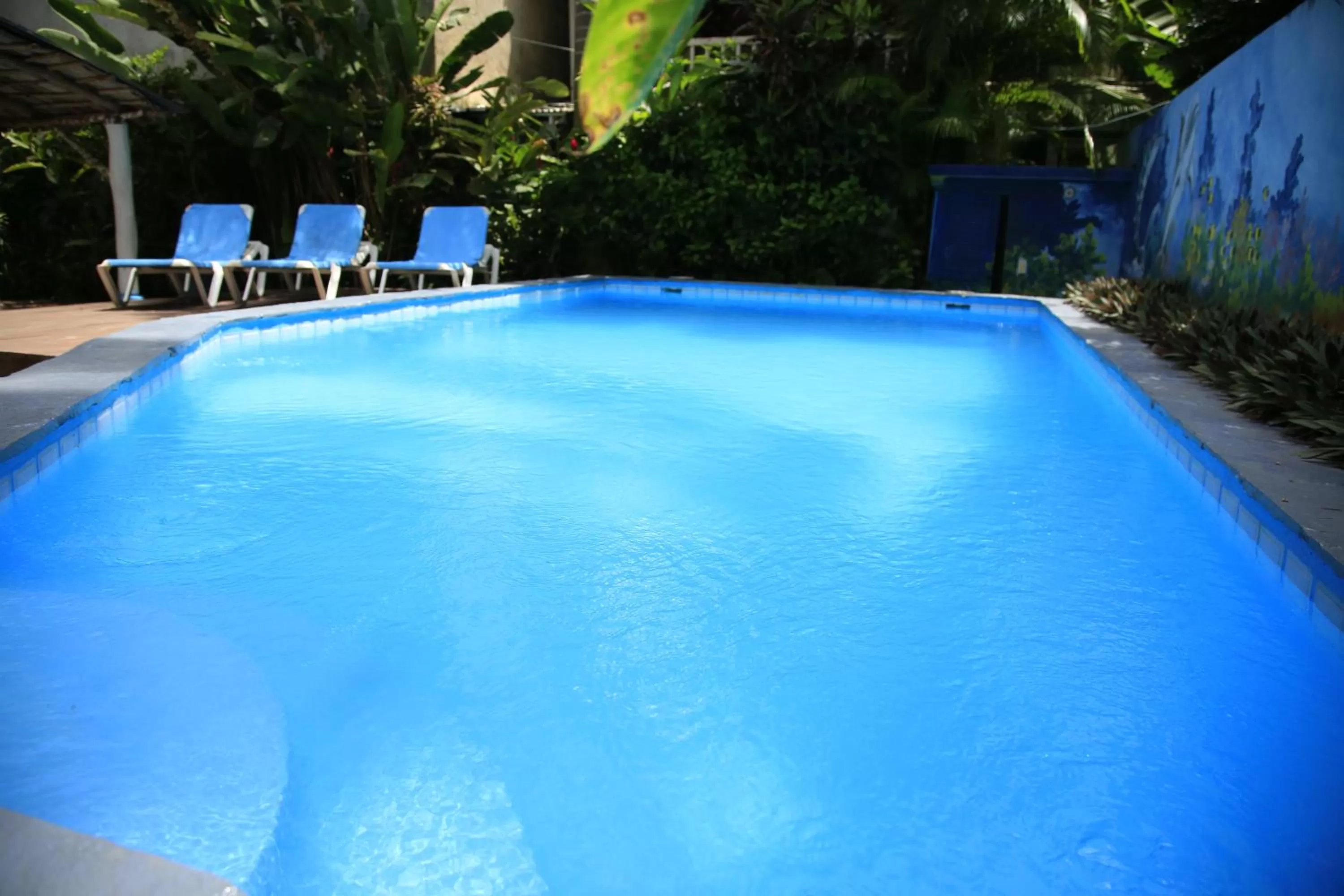 Swimming Pool in Casa Brisa Mar Hotel