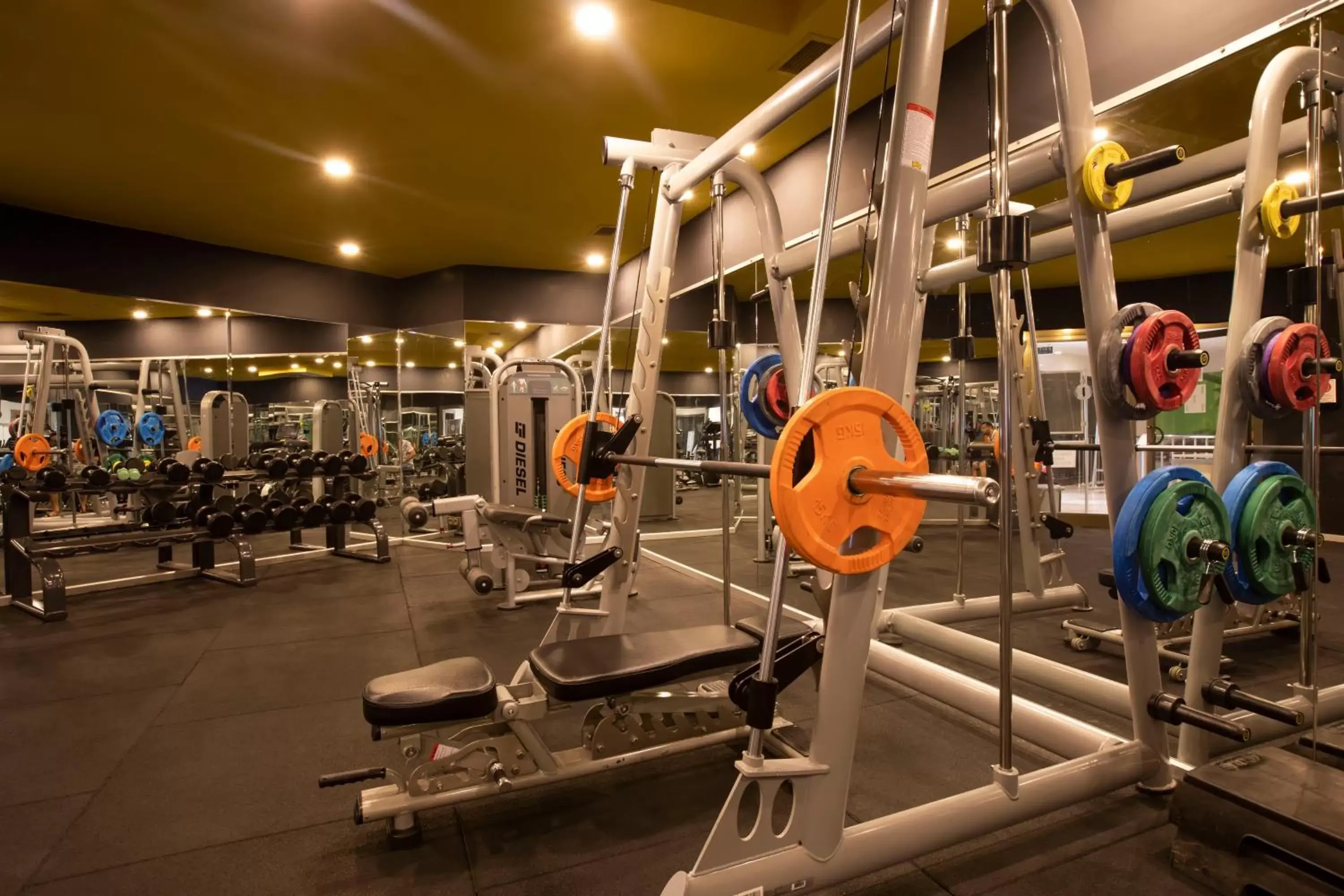 Sports, Fitness Center/Facilities in Falcon Hotel
