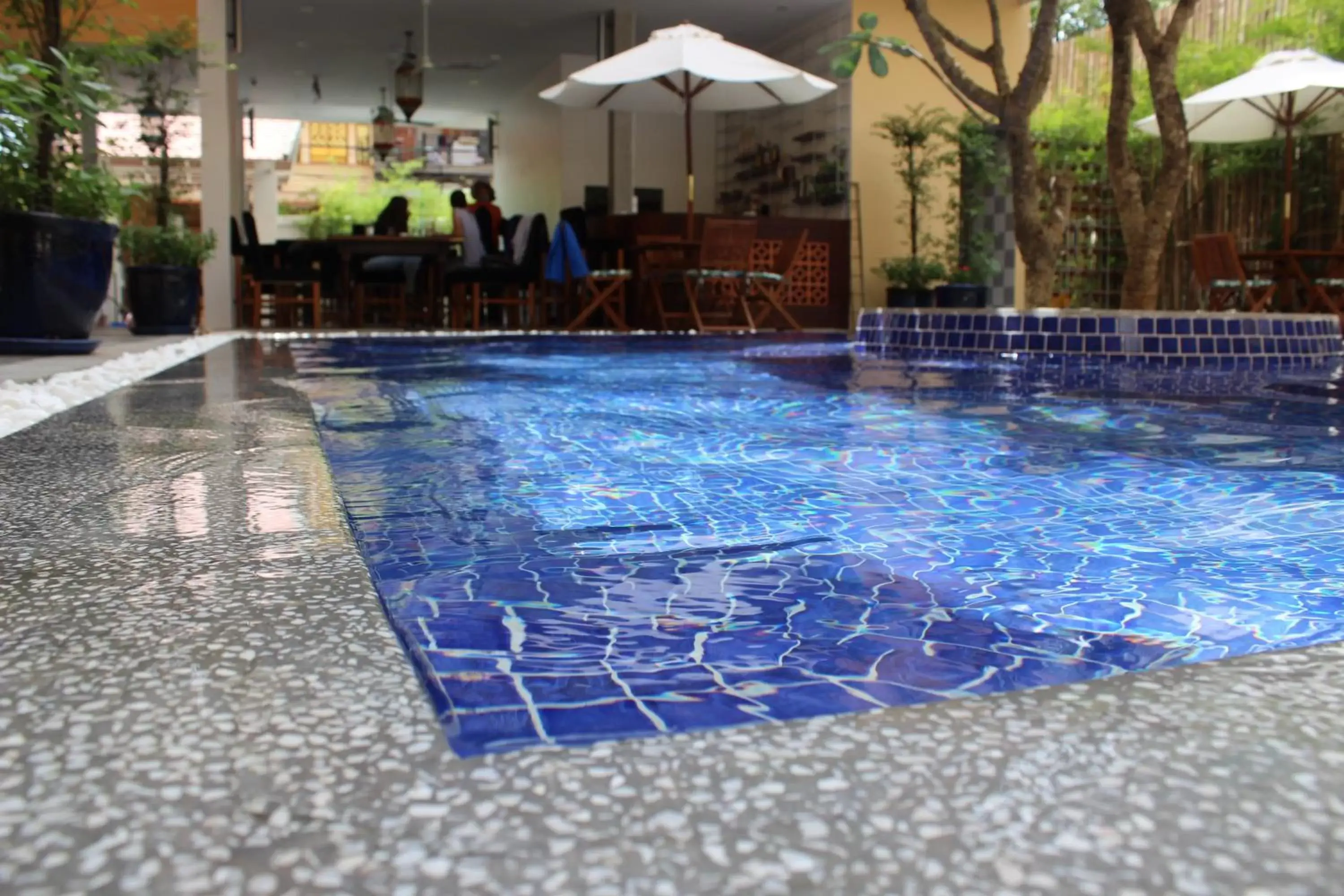 Swimming Pool in House Boutique Eco Hotel