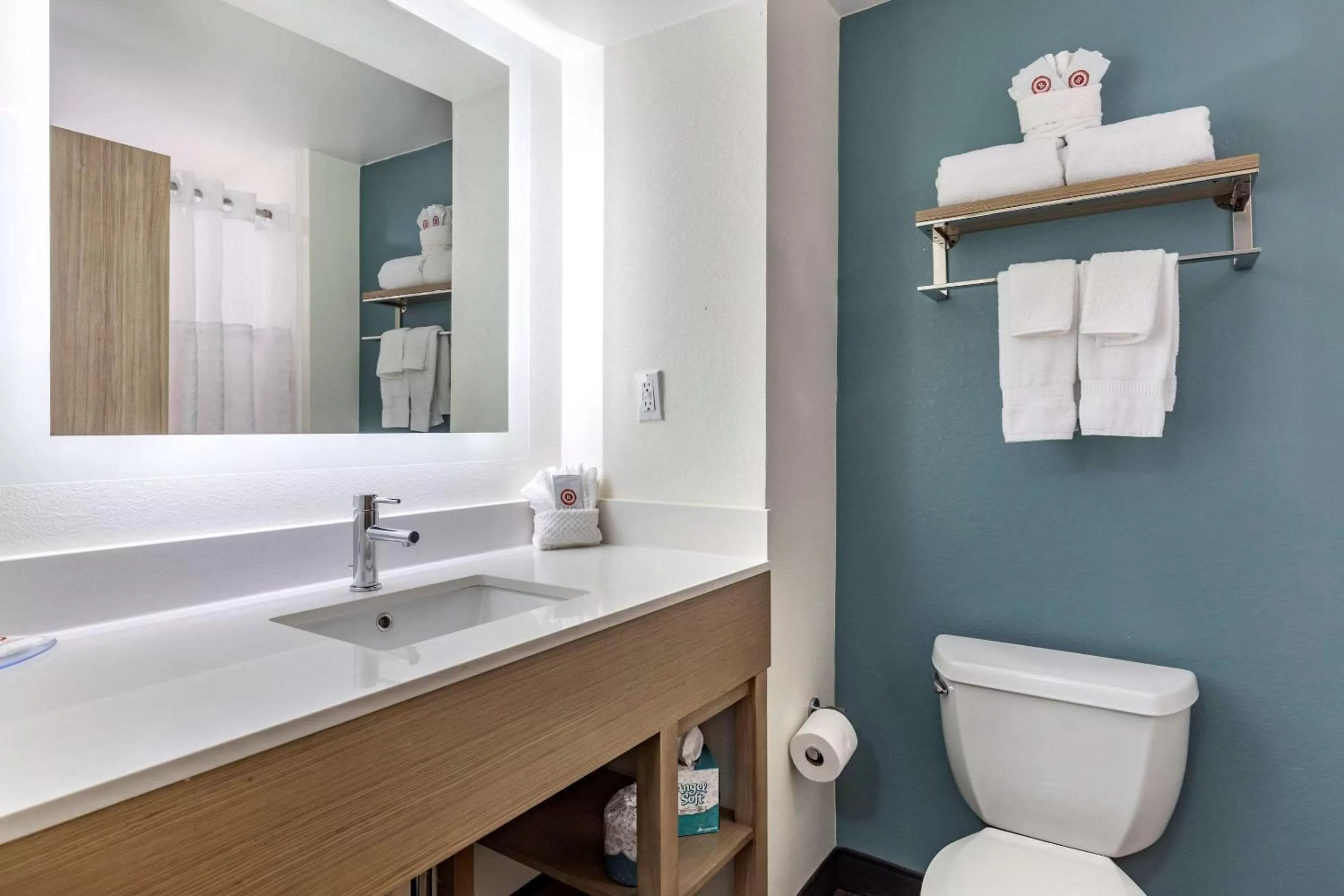 Bathroom in Comfort Suites Anderson-Clemson