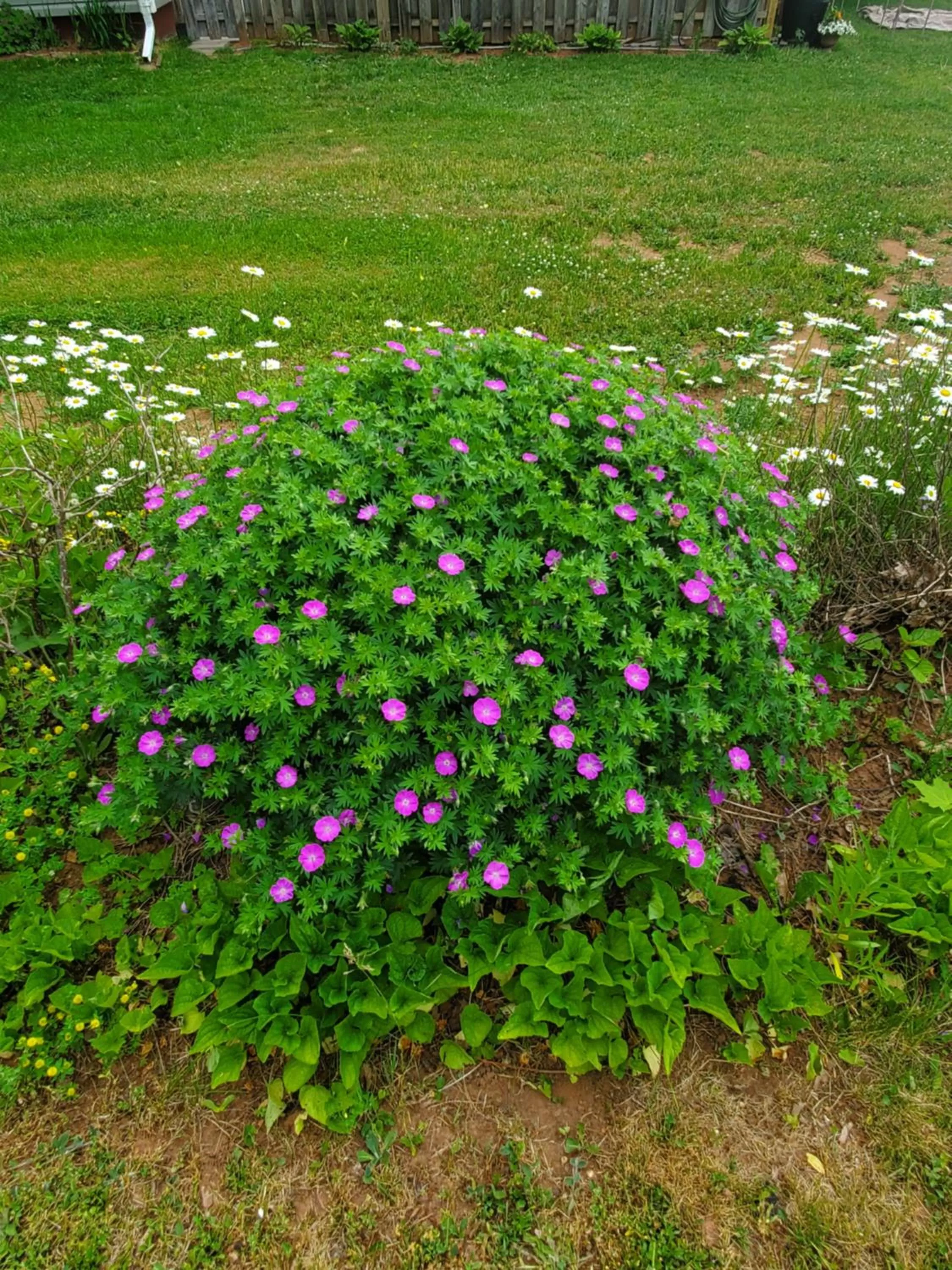 Property building in The Home Place Inn