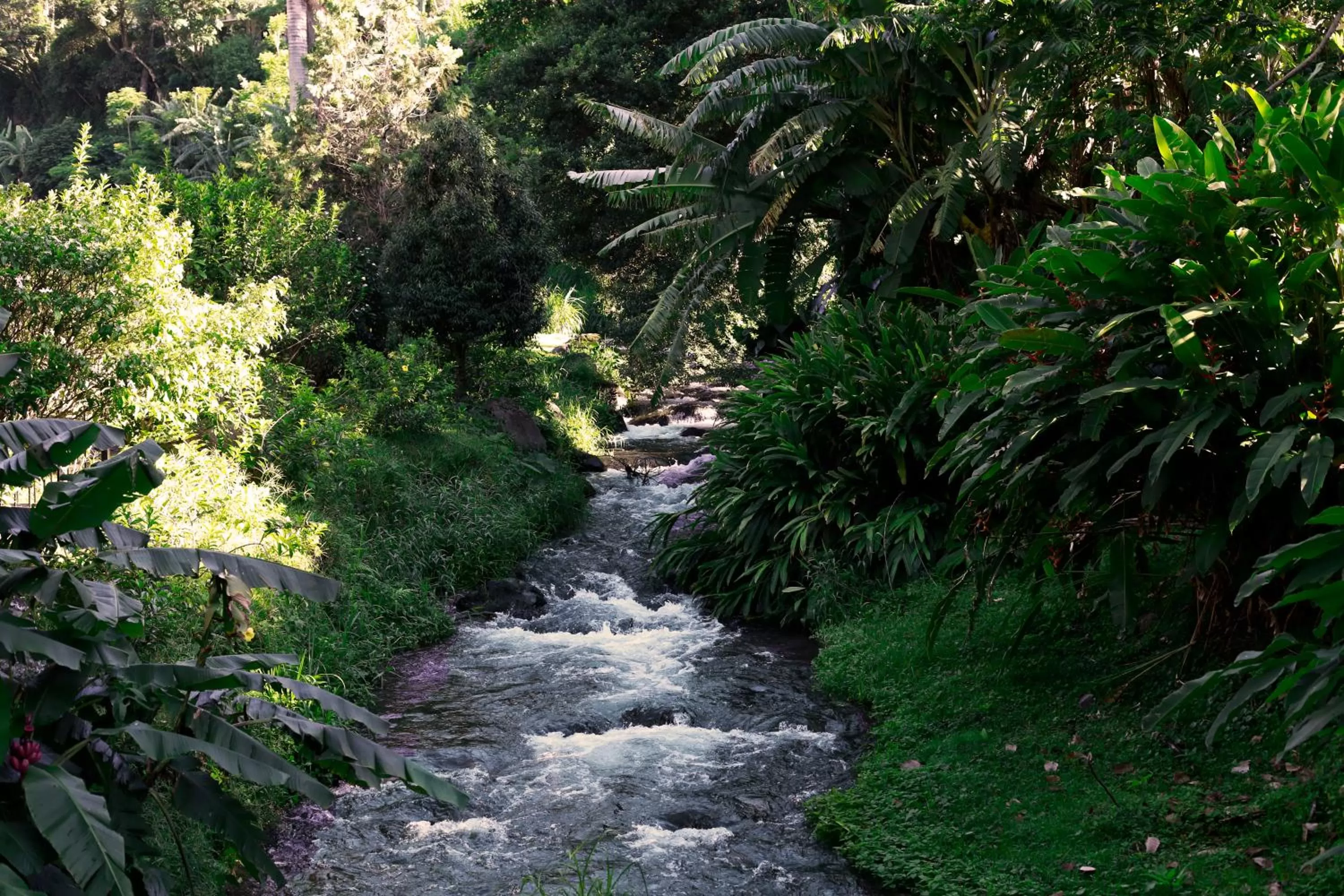 Natural landscape in Valle Escondido Resort