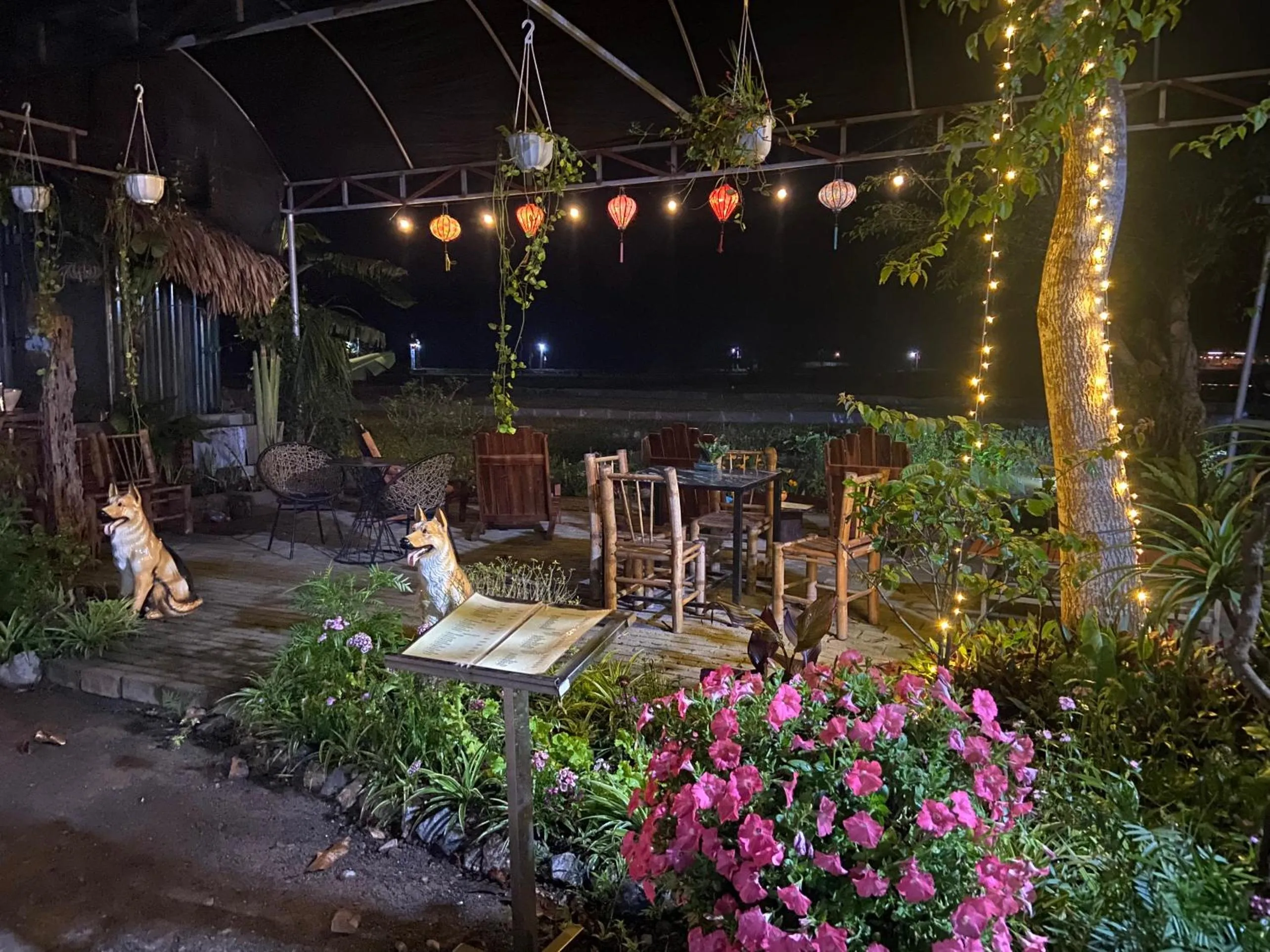 Tam Coc Mountain View Homestay