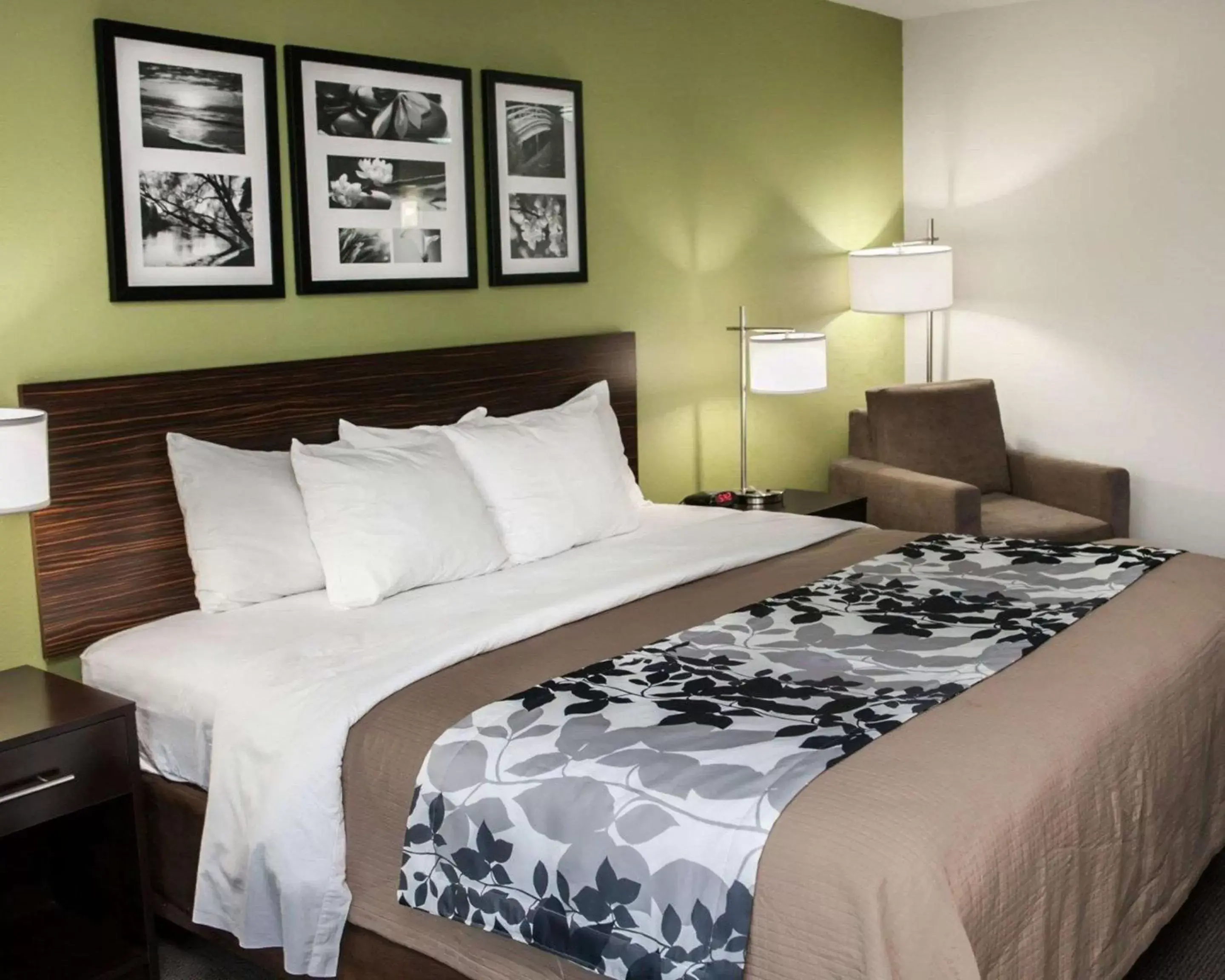 Photo of the whole room, Bed in Sleep Inn & Suites Harrisburg – Hershey North