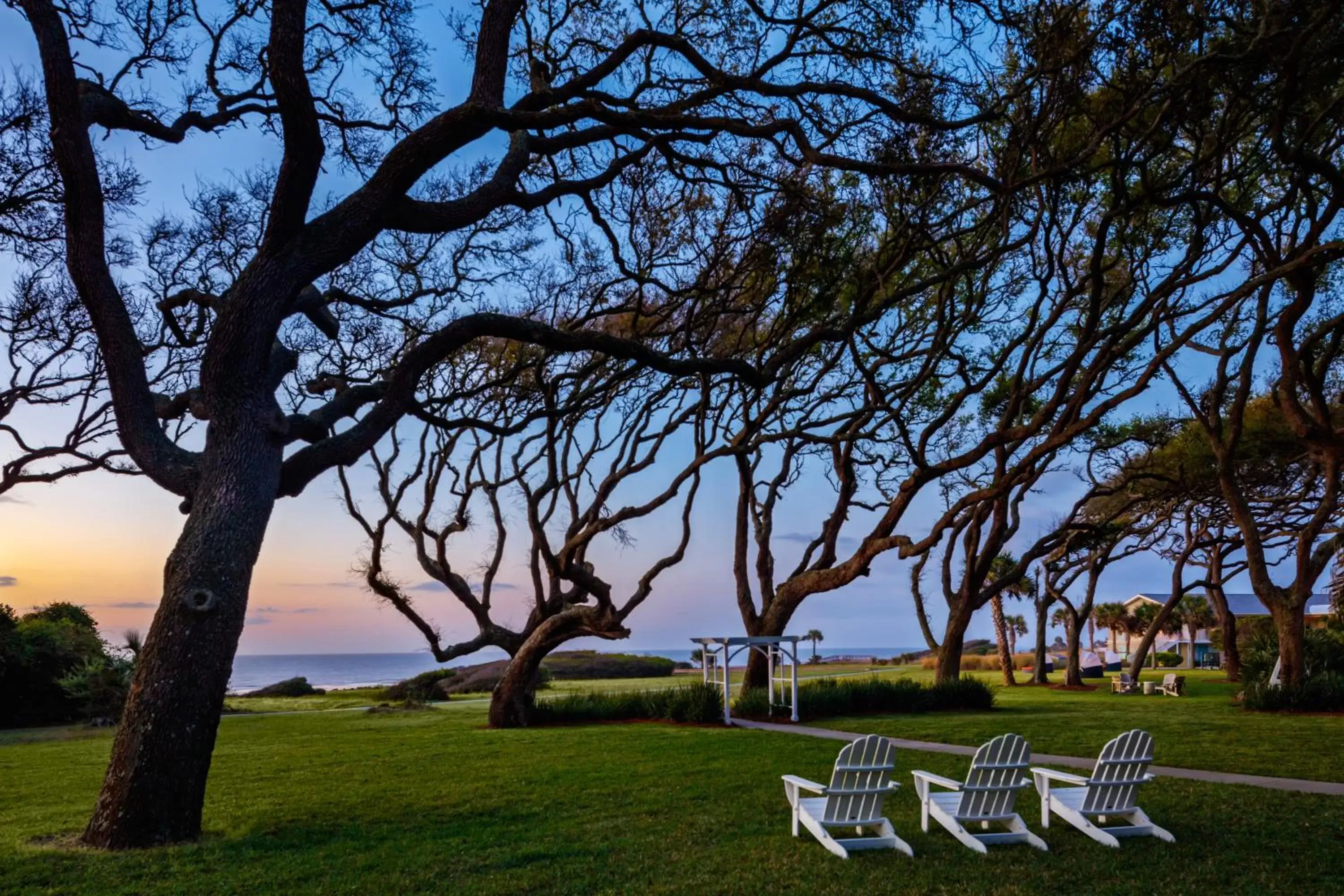 Natural landscape in Beachview Club Hotel