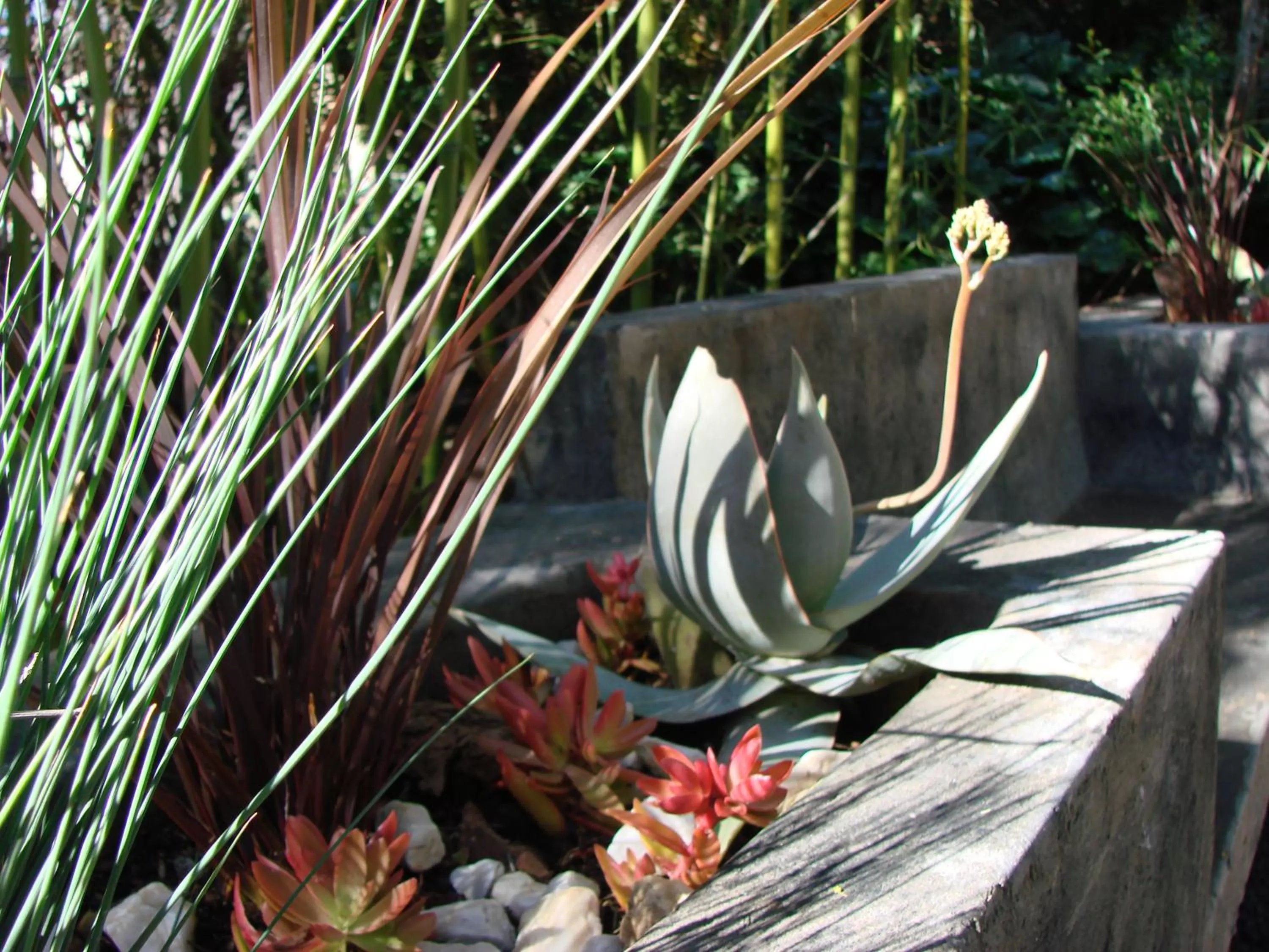 Patio, Other Animals in Jedidja Bed and Breakfast