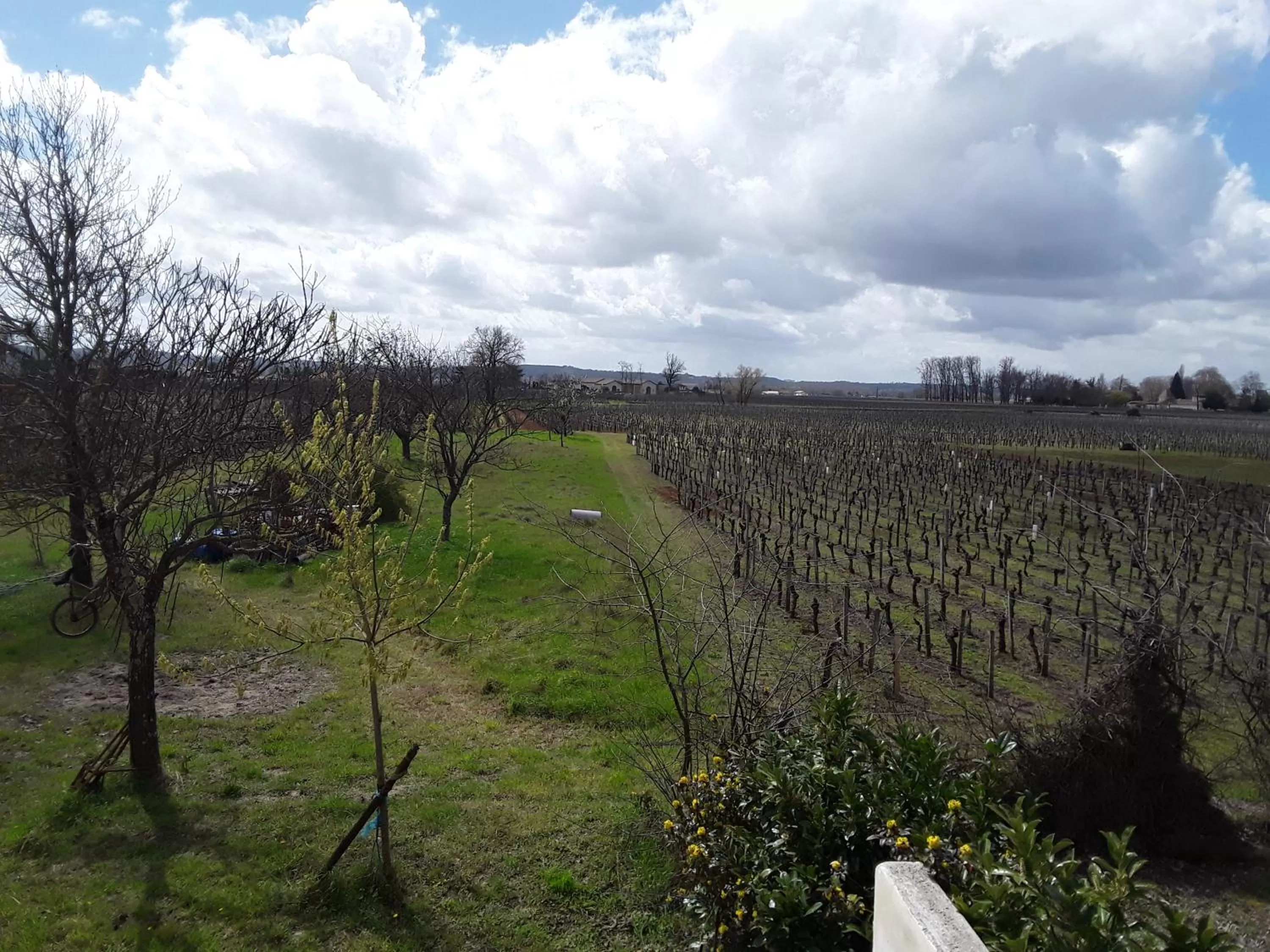 Au Vélo dans l'Arbre