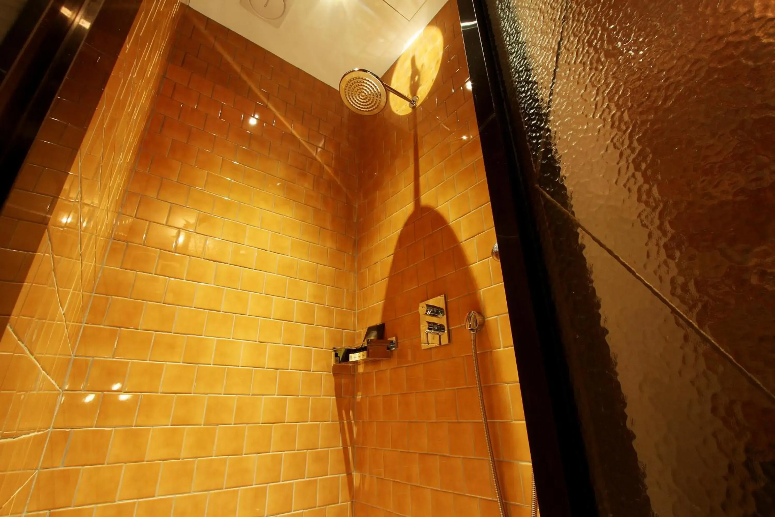 Shower, Bathroom in Hotel Loft