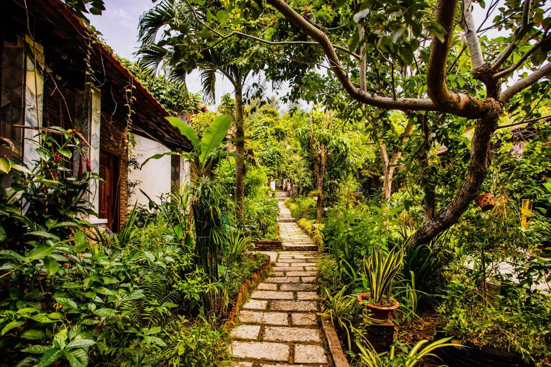 Garden in Miana Resort Phu Quoc