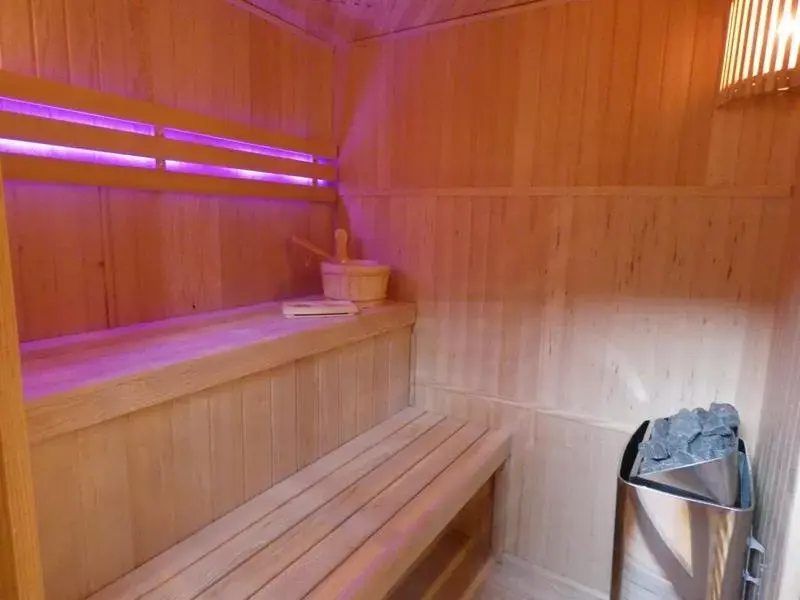Sauna in Auberge Du Fraizier