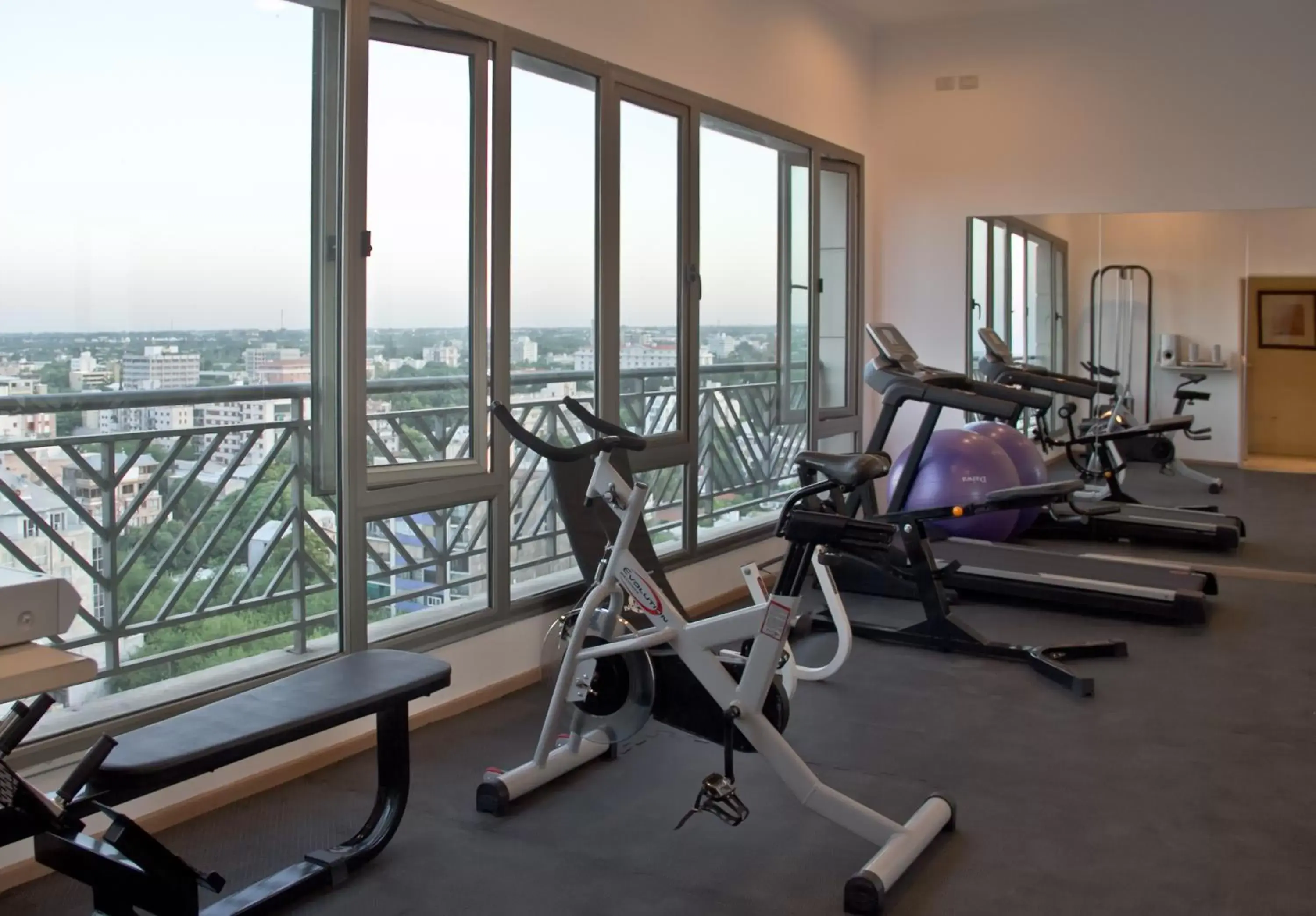 View (from property/room), Fitness Center/Facilities in Amerian Executive Hotel Mendoza