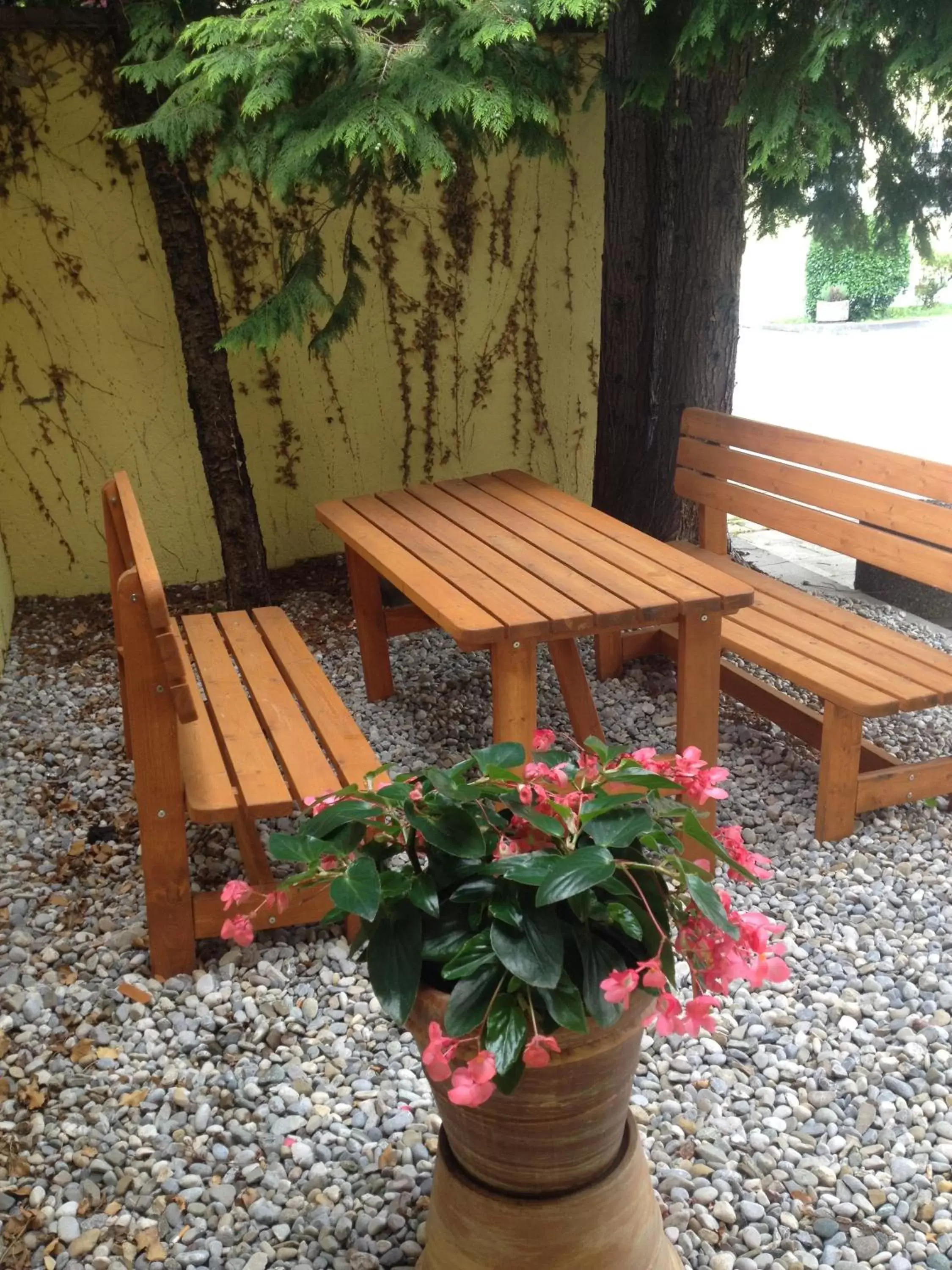 Balcony/Terrace in Hotel Carmen