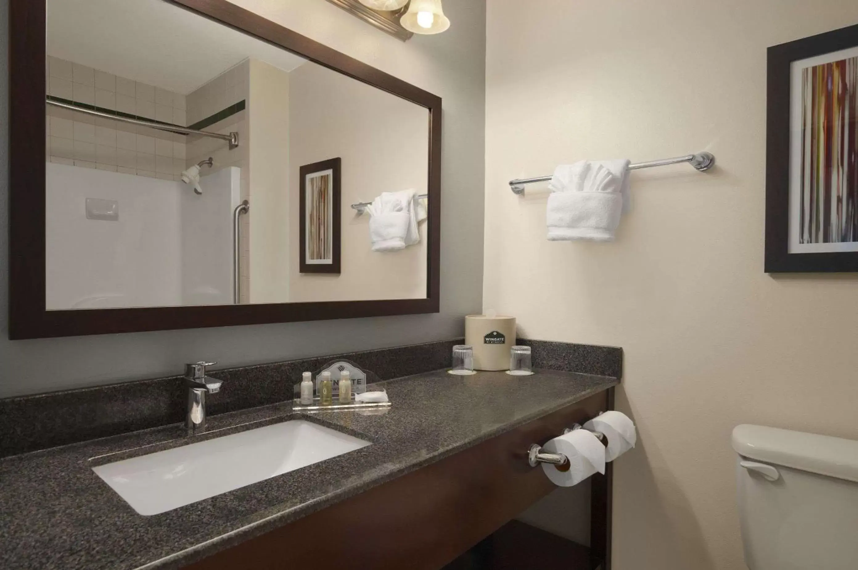 Bathroom in Wingate by Wyndham and Williamson Conference Center