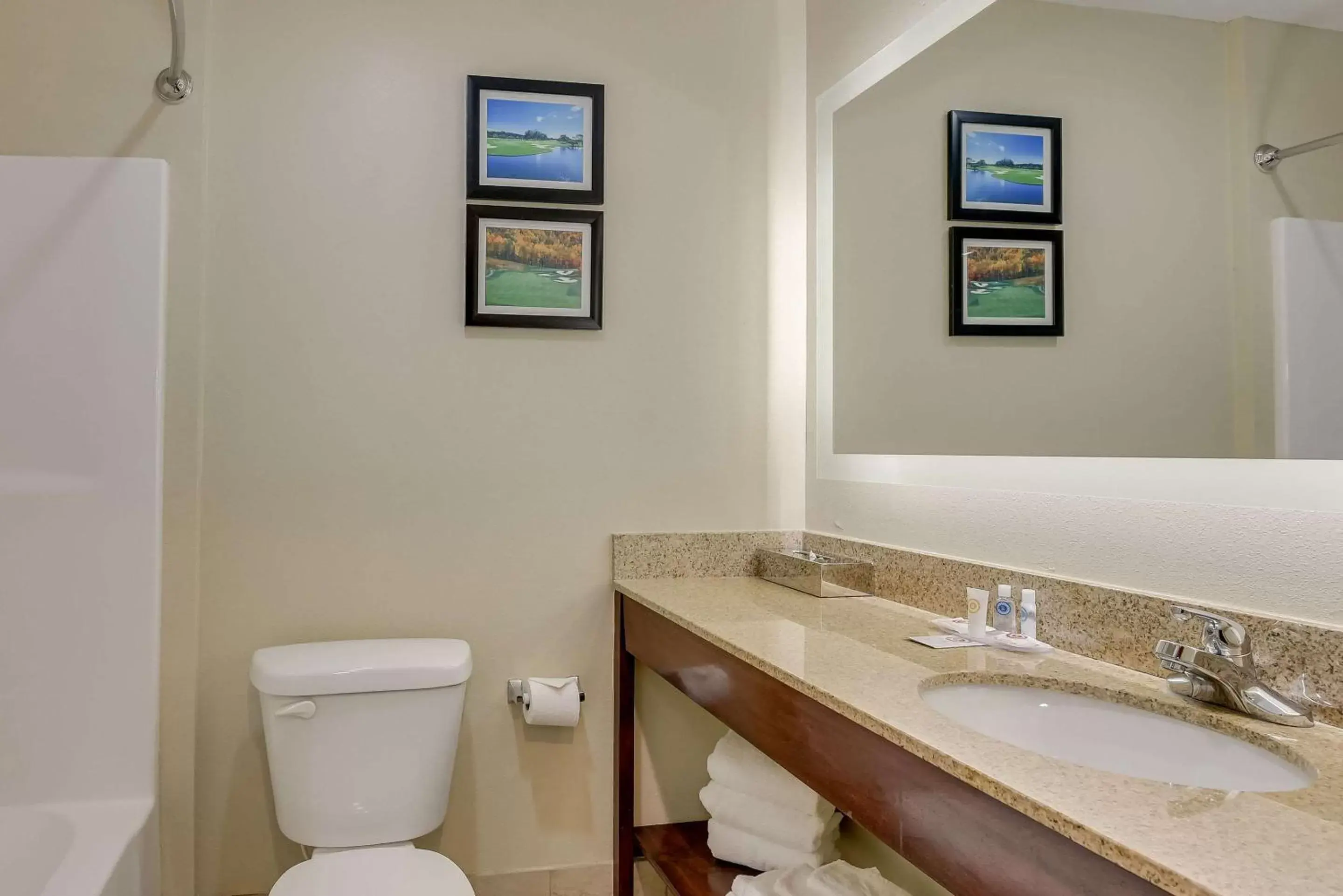 Bathroom in Comfort Inn & Suites Gordon HWY