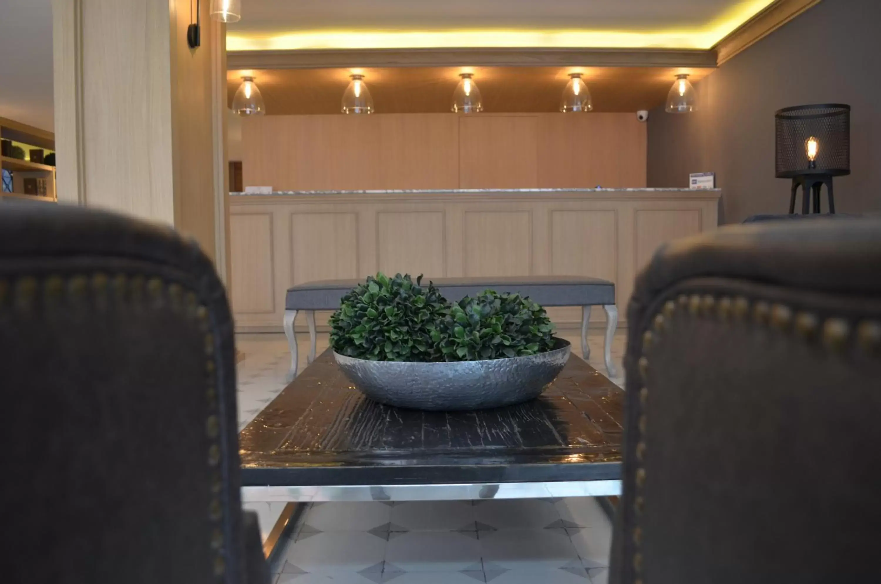 Lobby or reception, Lobby/Reception in Hotel Plaza Revolución