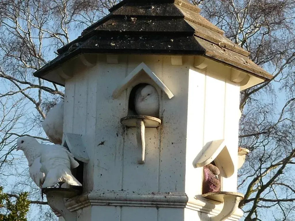 Property building, Winter in The Red Lion Hinxton