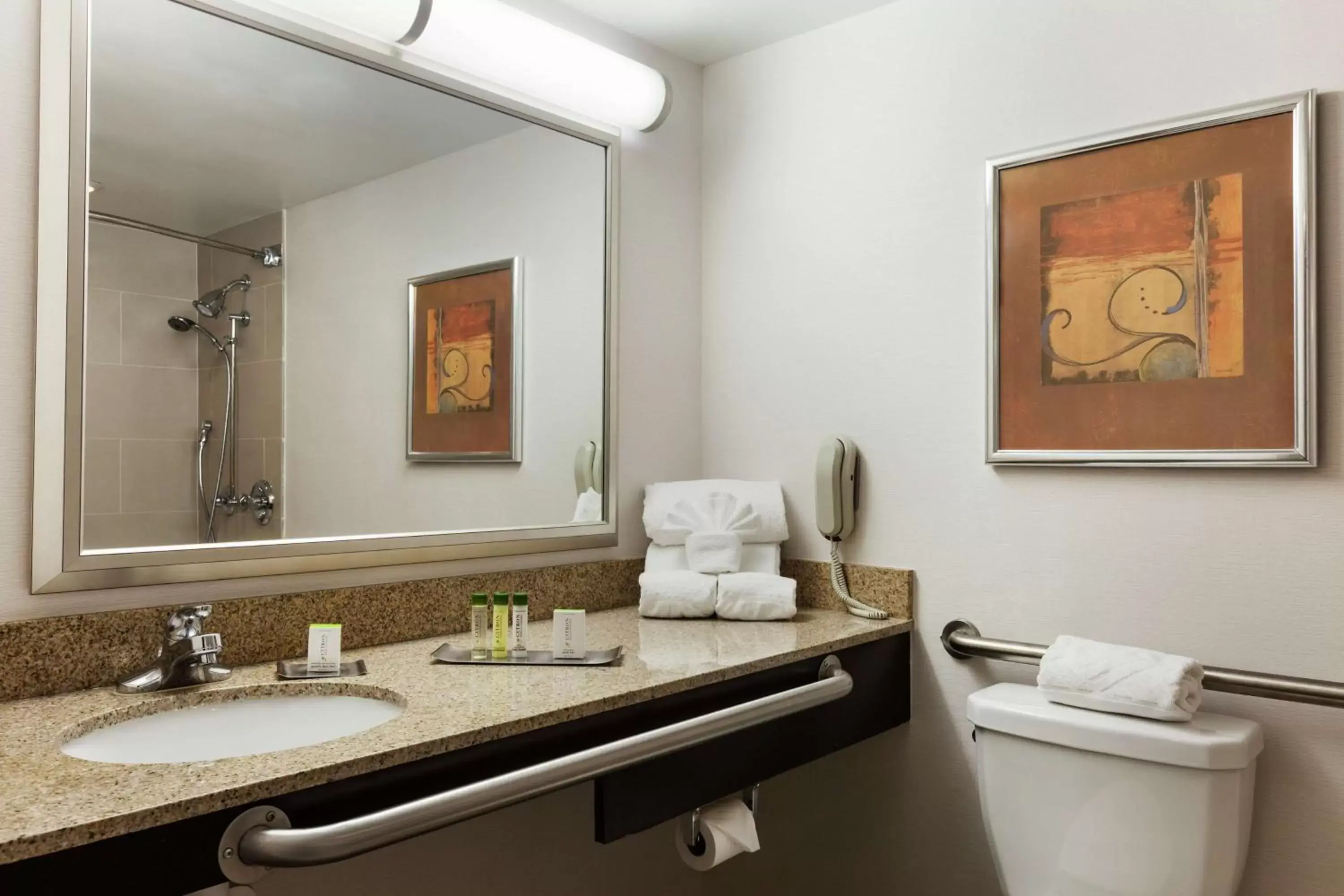 Bathroom in DoubleTree by Hilton Dearborn