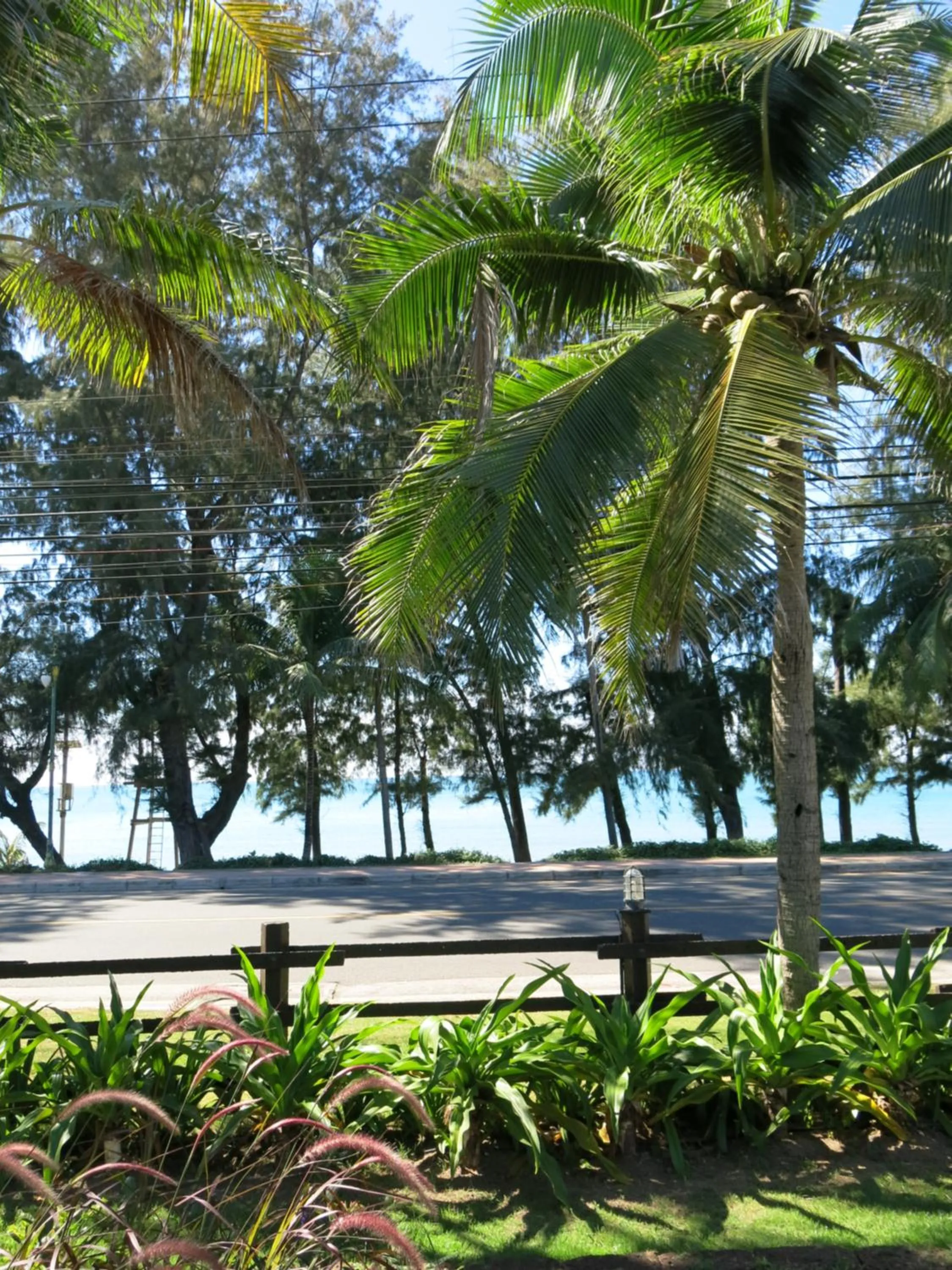 On site in Bayview Resort