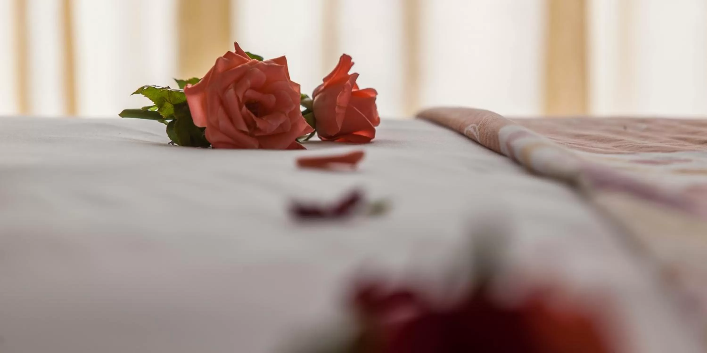 Bed in Oasis Hotel & Spa